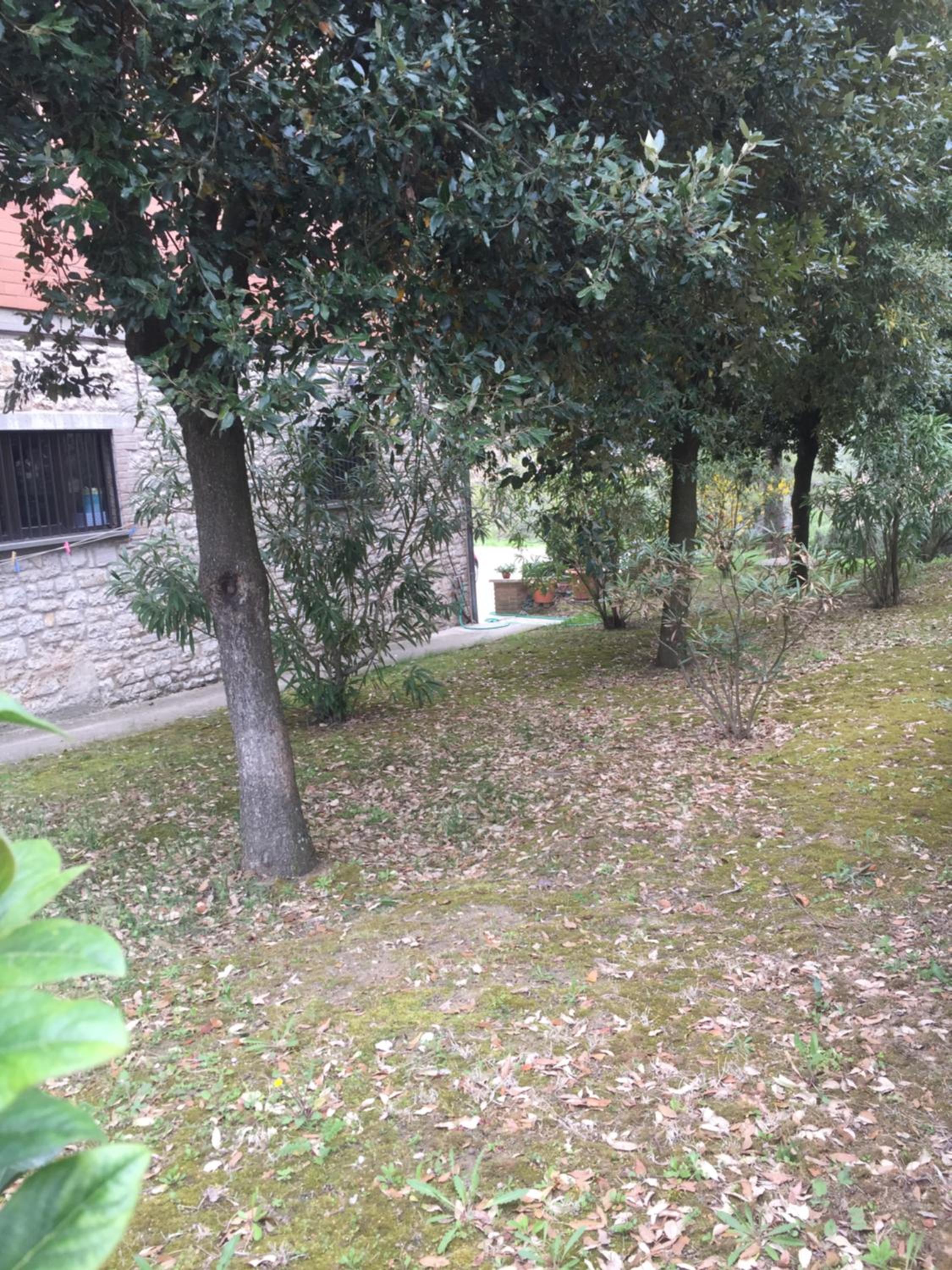 Appartamento dell Agriturismo Pane e Olio view 2