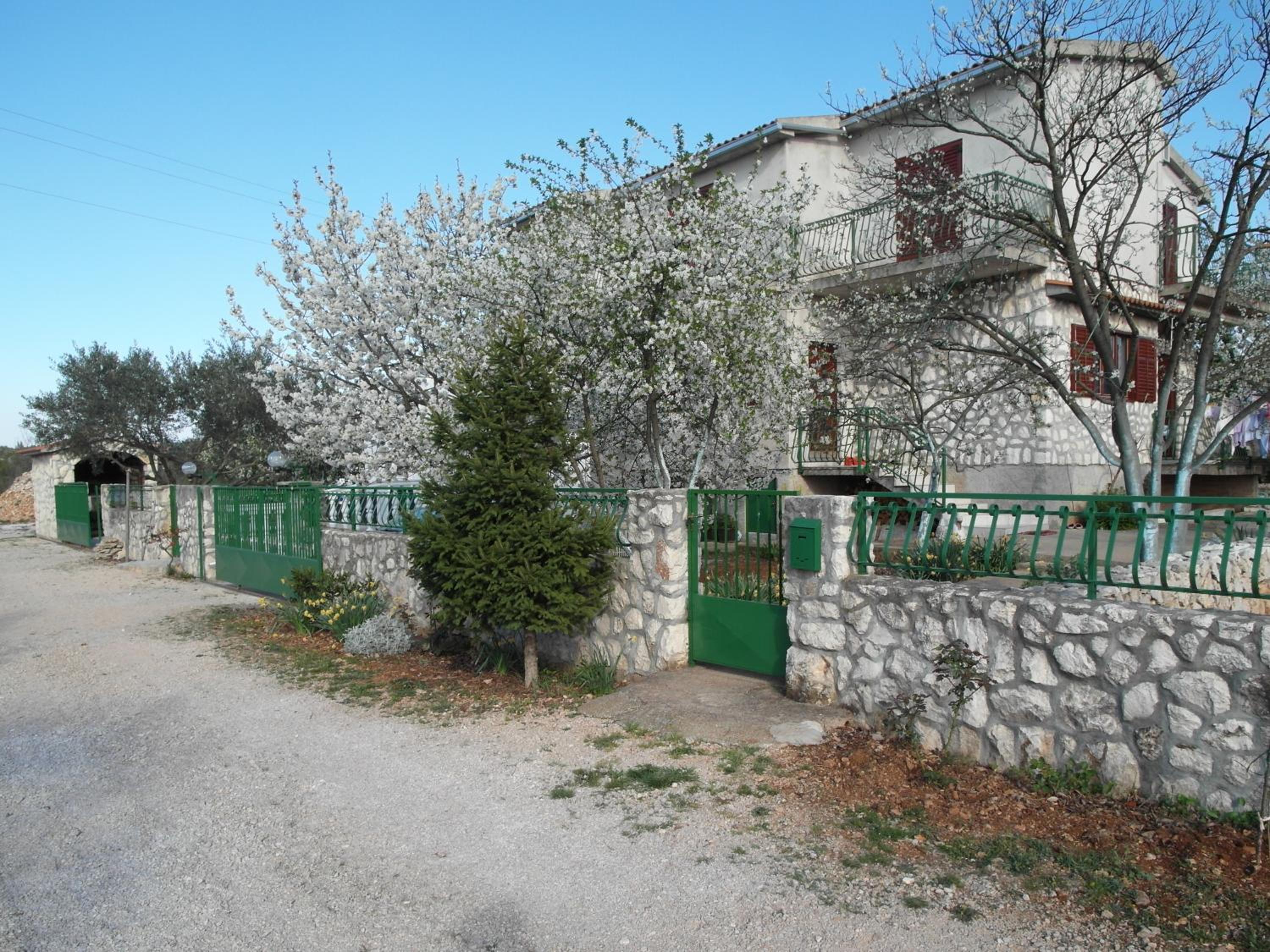 Photo 11
