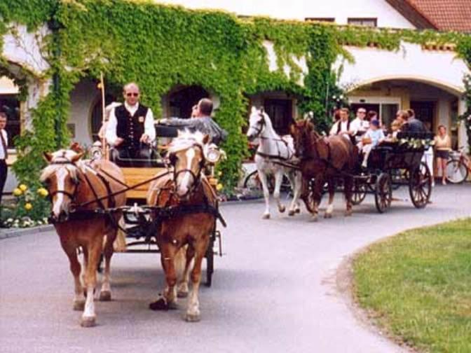 Reiterhof Sonja