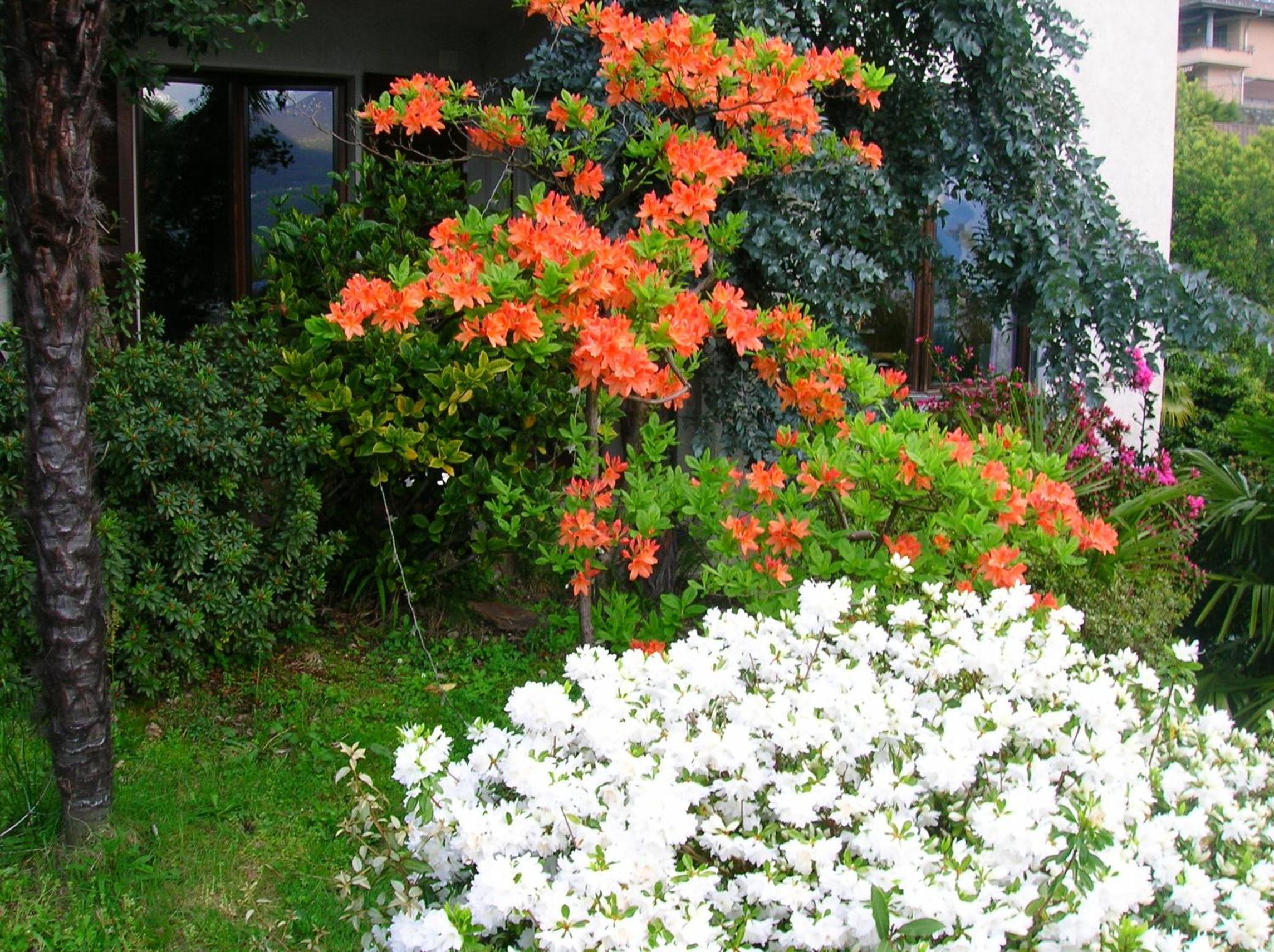 Residence Venus Garden