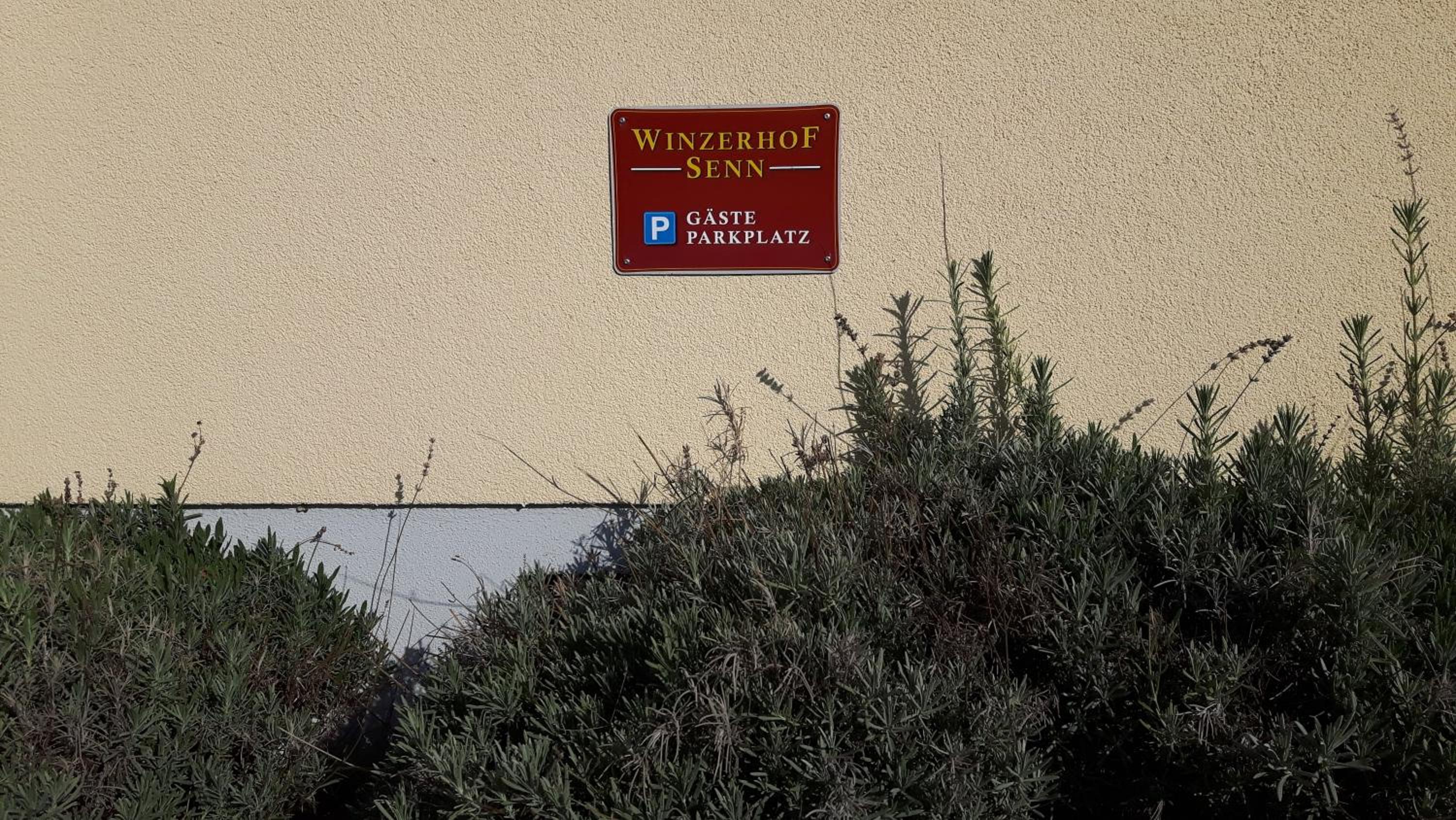 Winzerhof Senn, photo 6