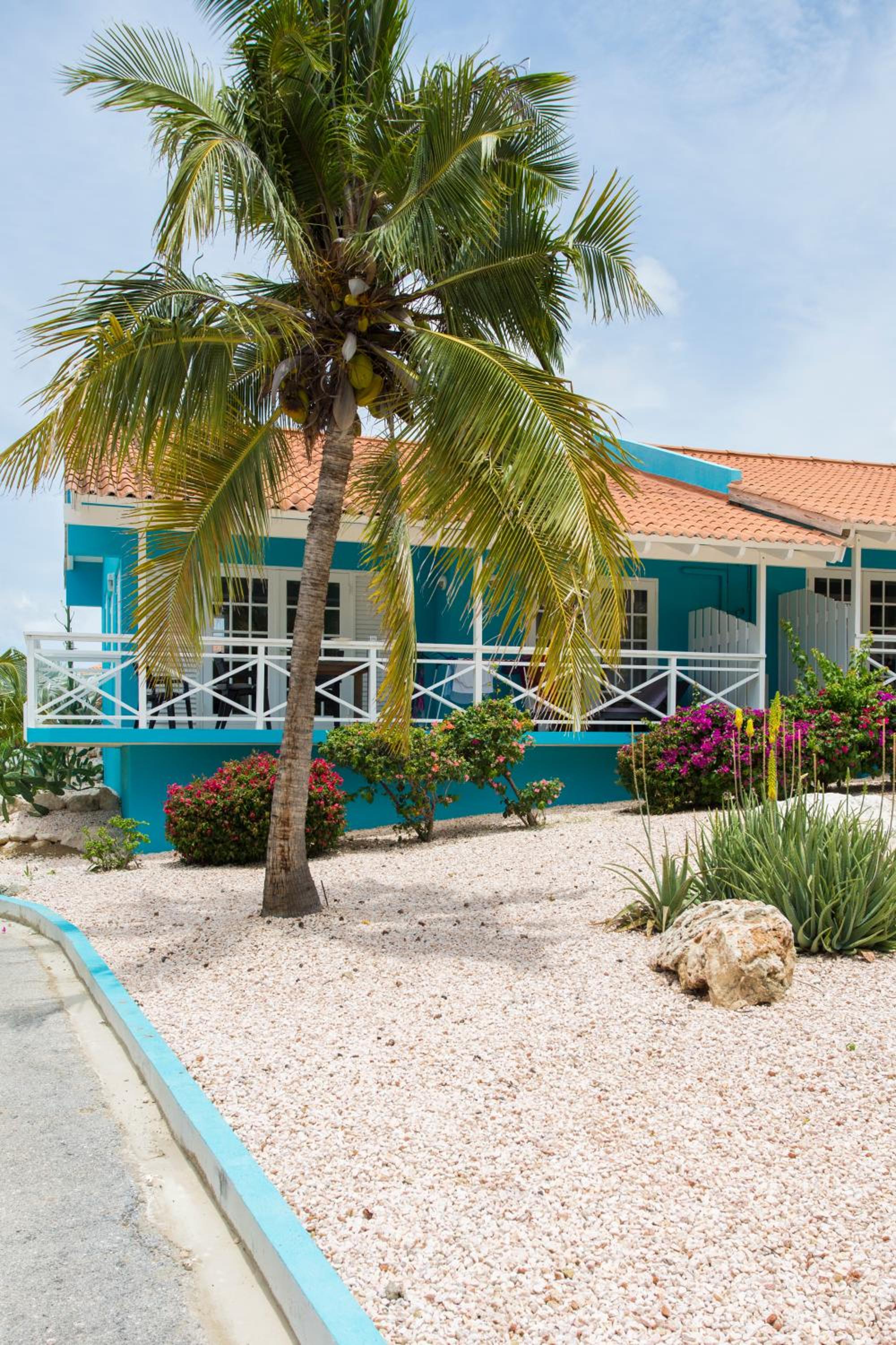 Bon Bini Resort Curacao