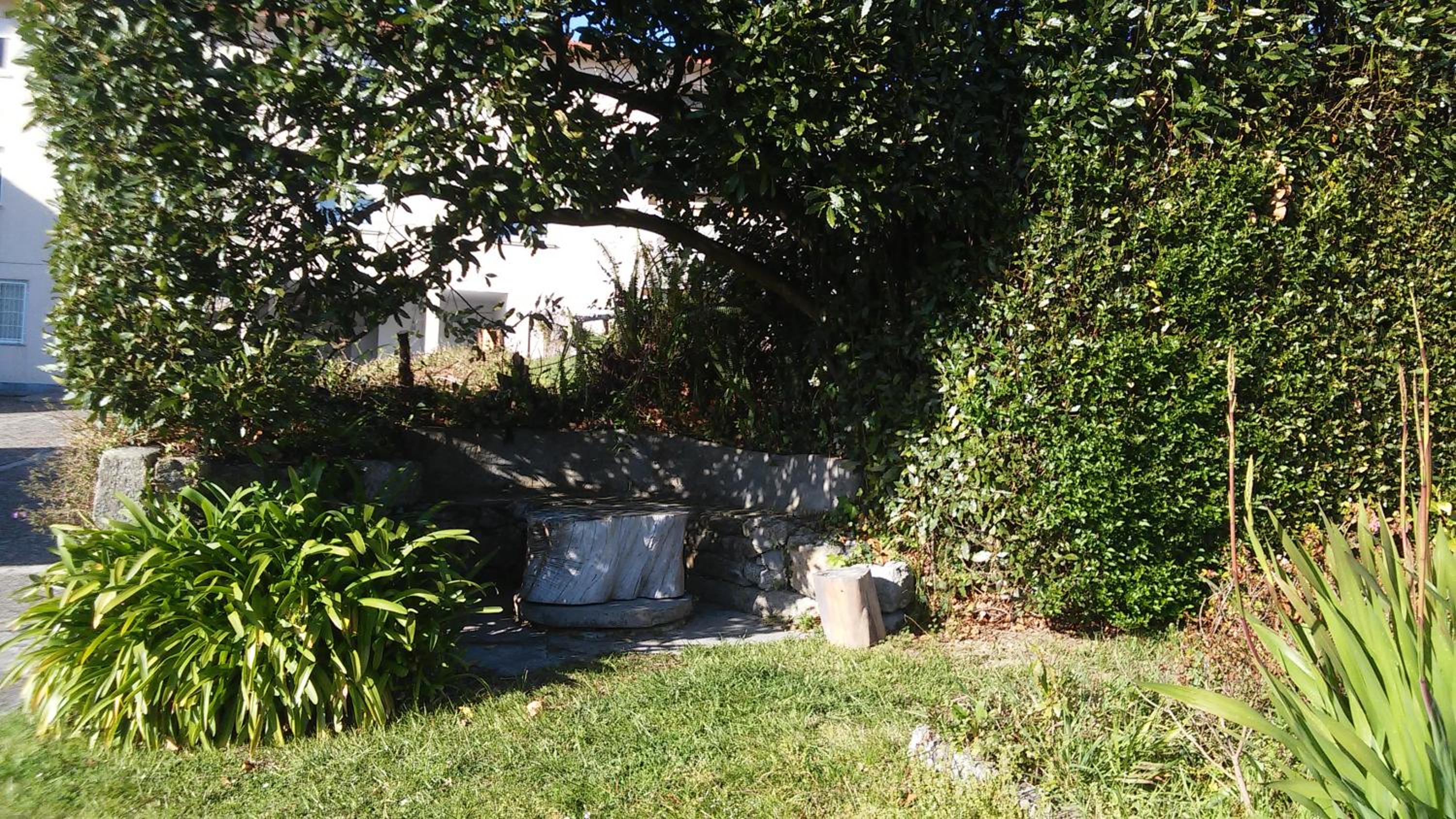 Photo 46