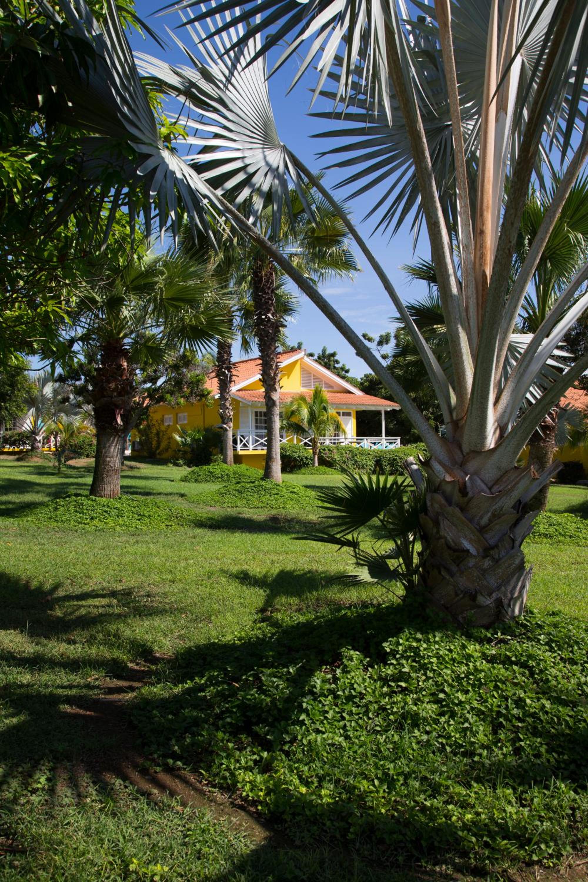 Bon Bini Resort Curacao