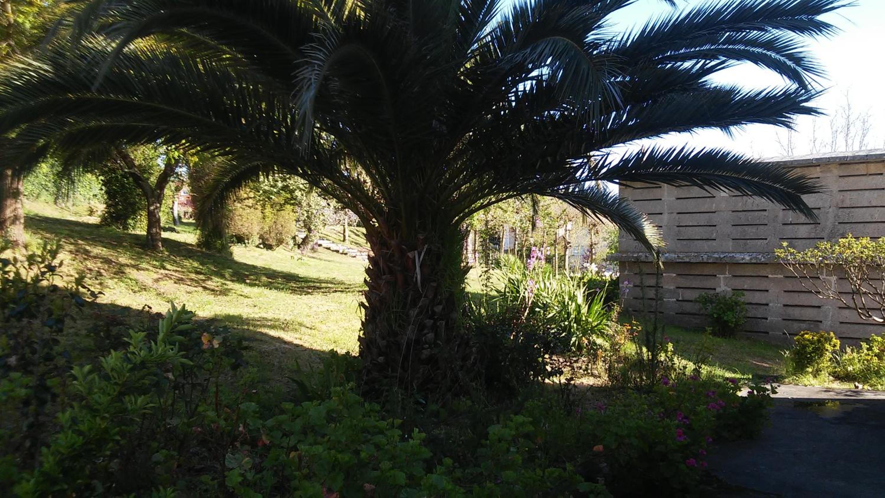 Photo 43
