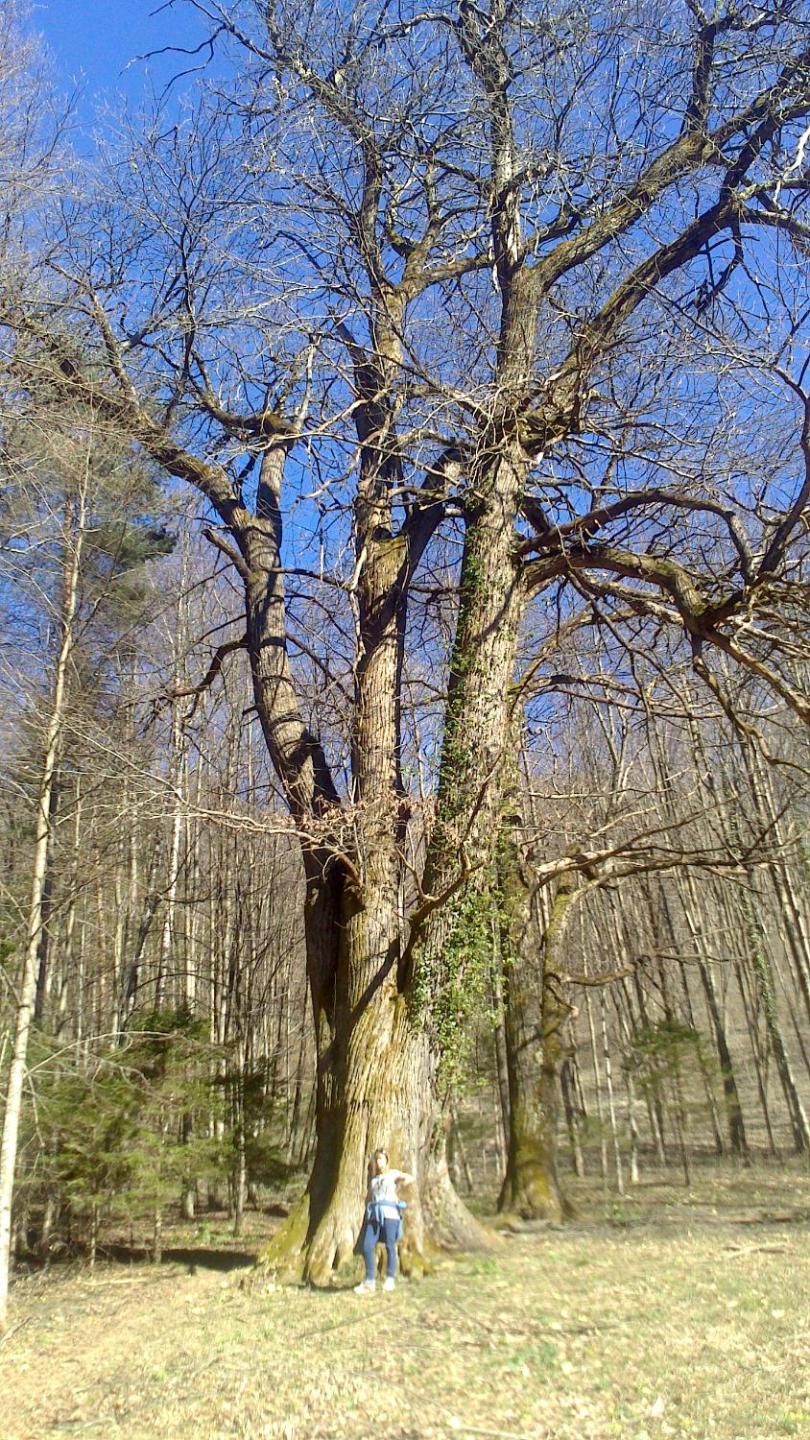 Photo 46