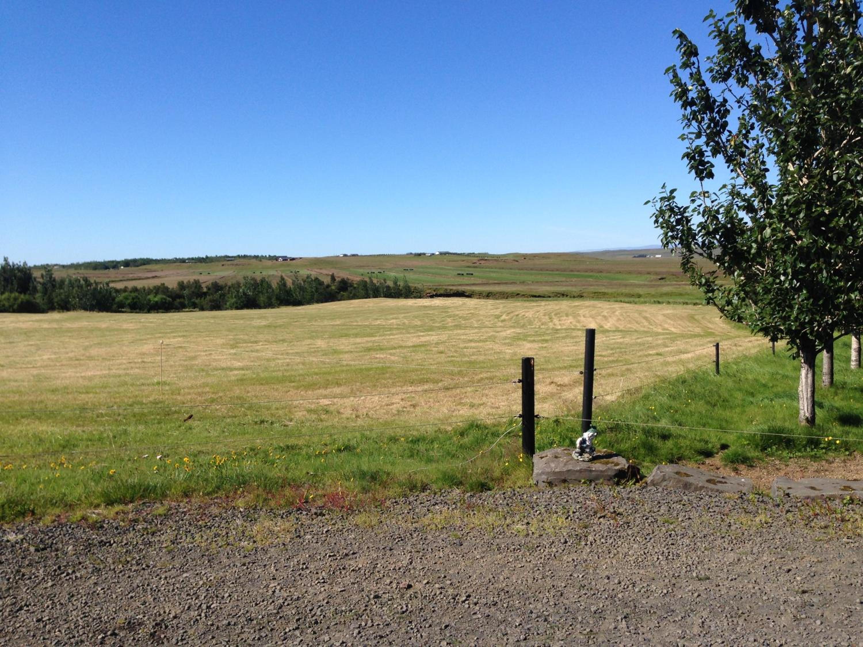 Photo 43