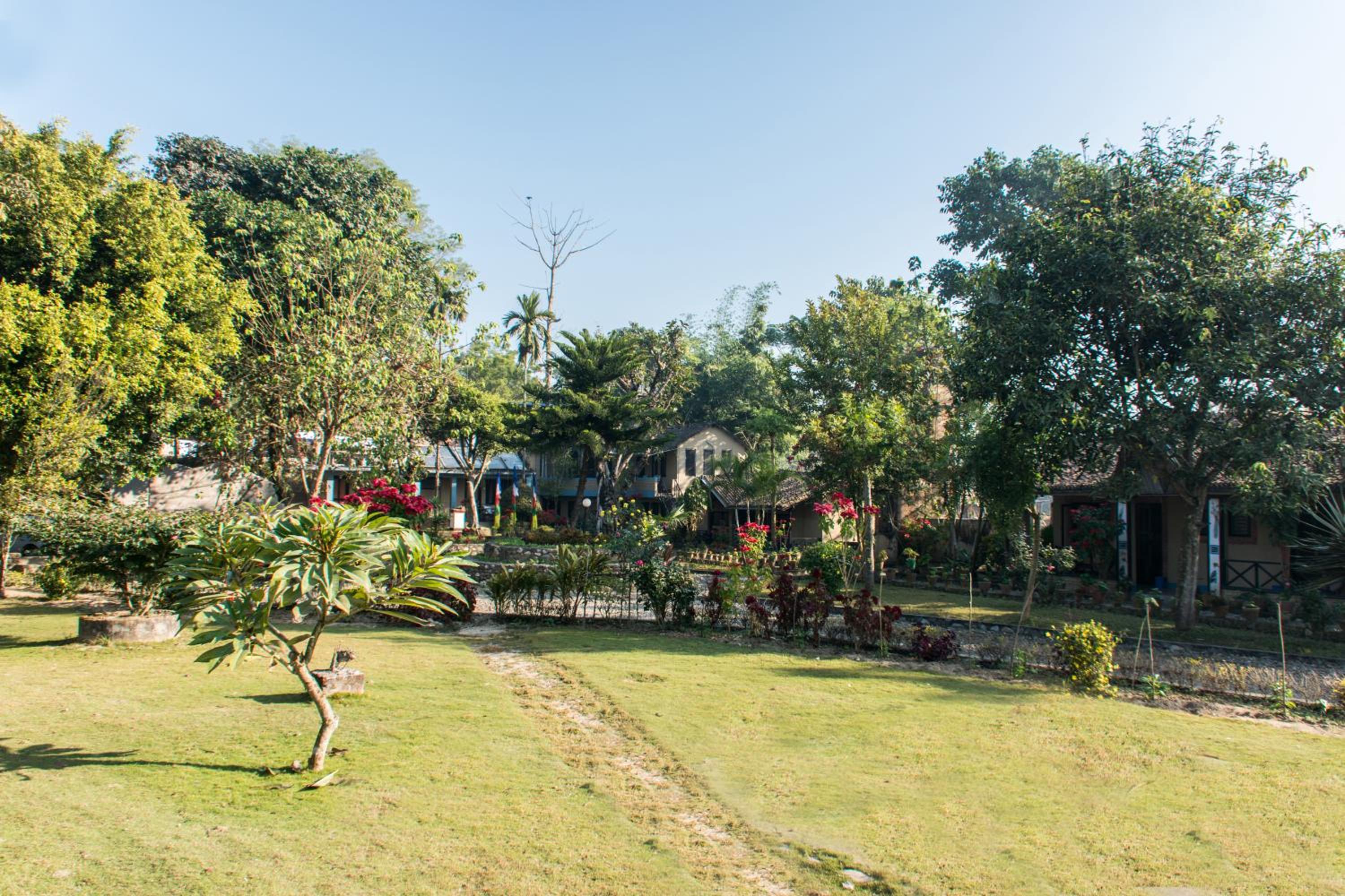 Chitwan Tiger Camp