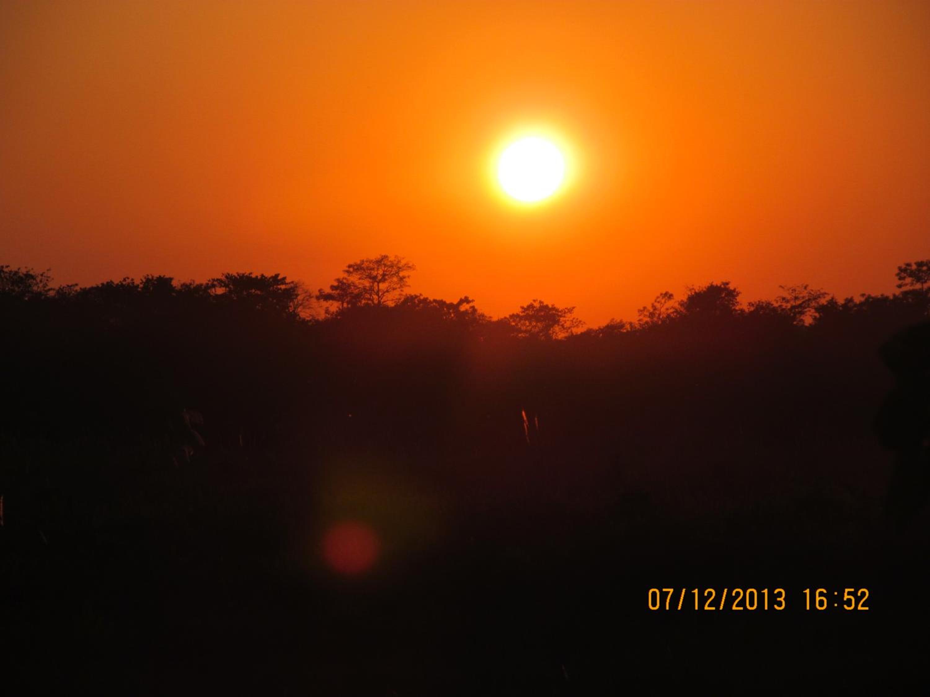 Chitwan Tiger Camp