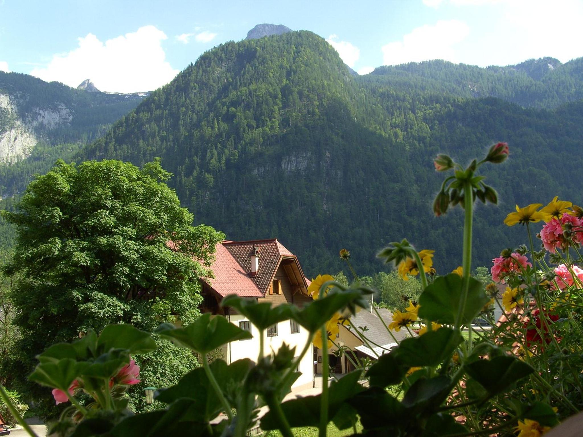 Haus Alpenrose