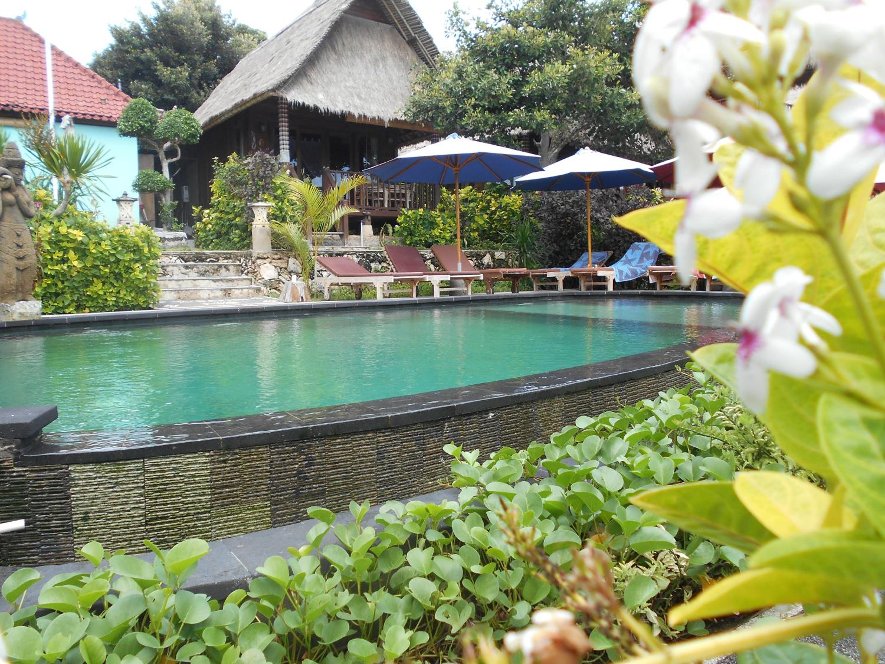 The Dafish Ceningan
