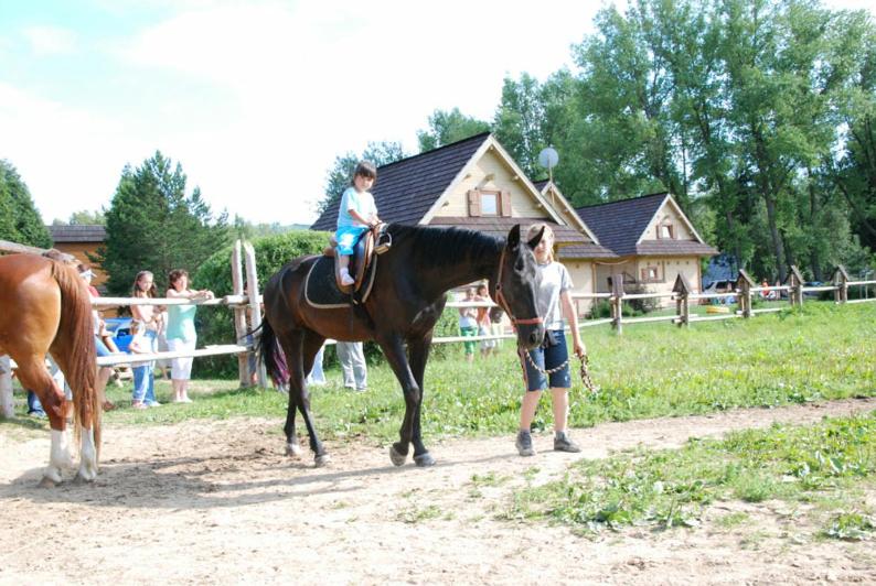 Photo 35