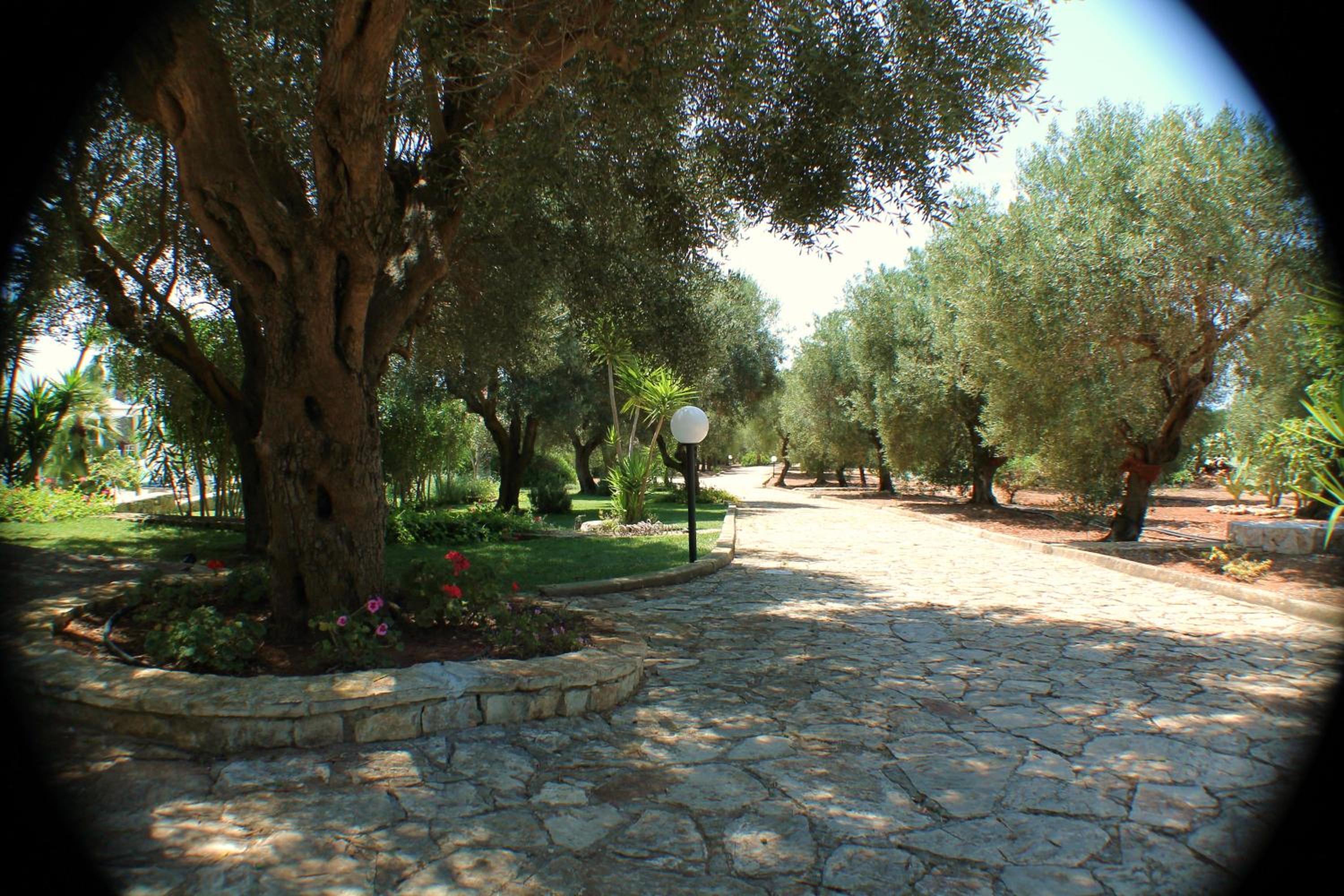 Photo 36