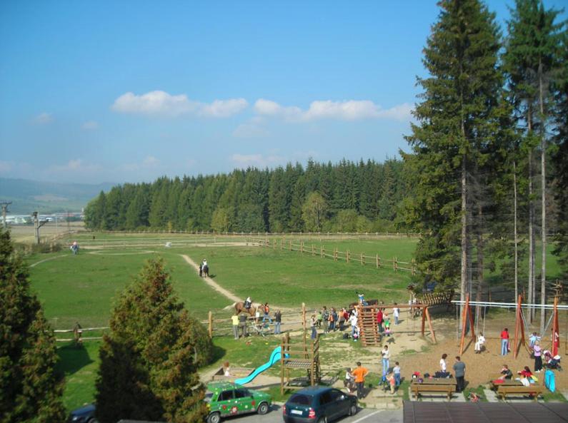 Photo 43
