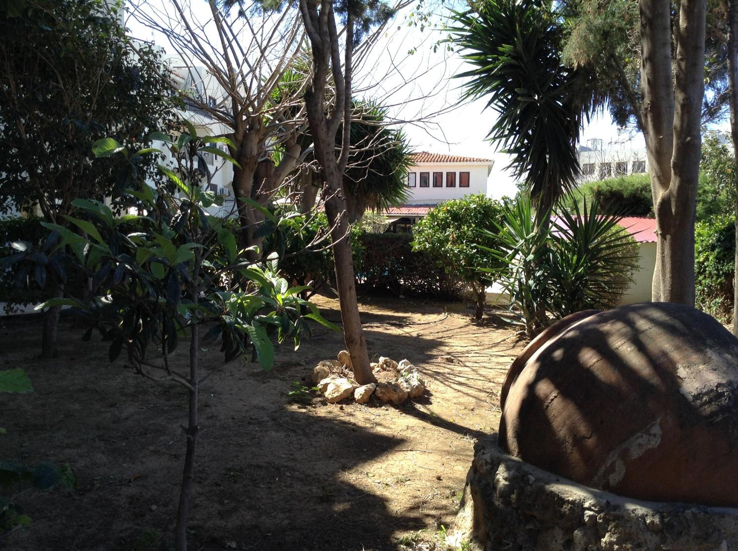 Photo 17