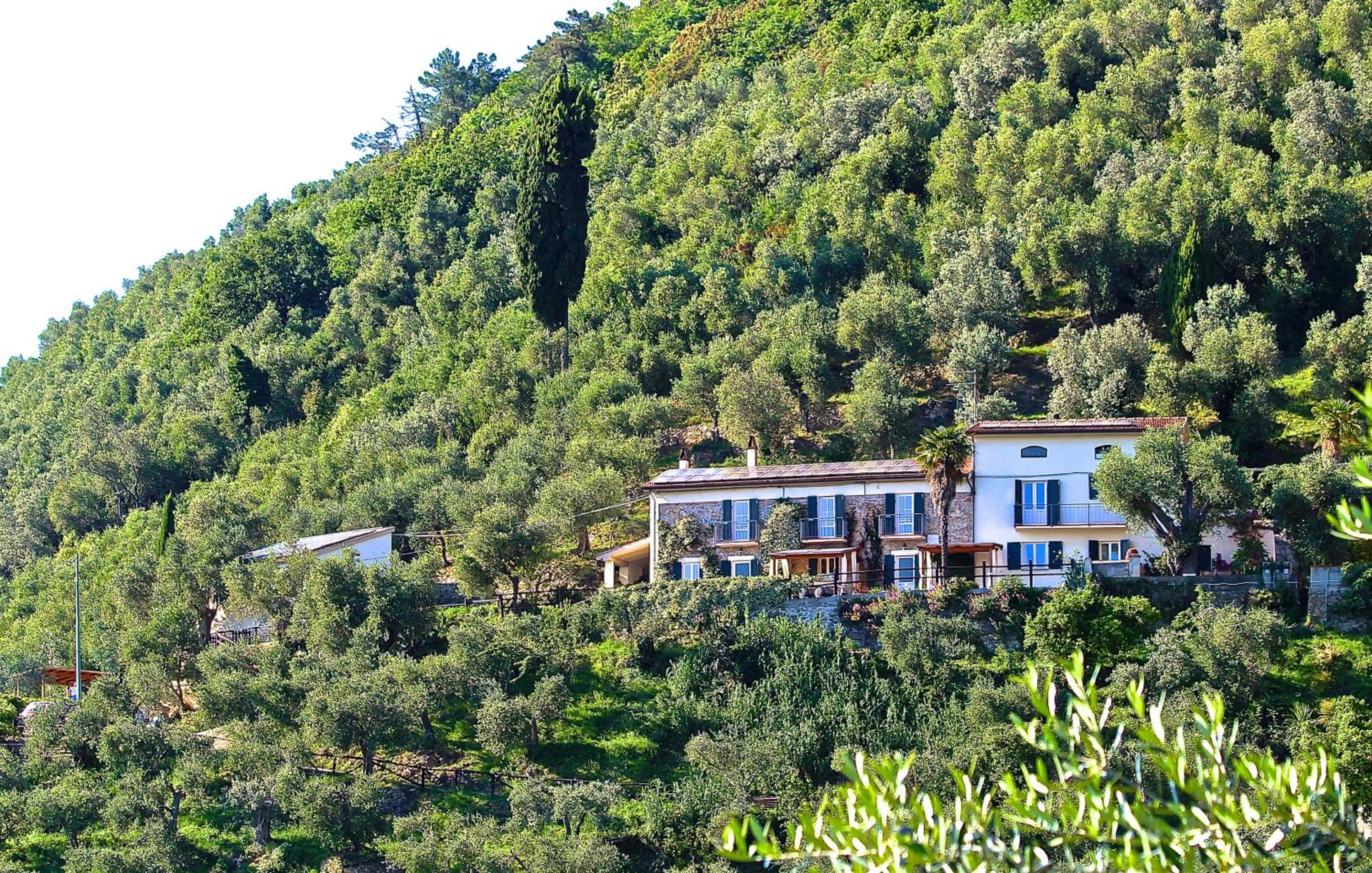 La Lucertola