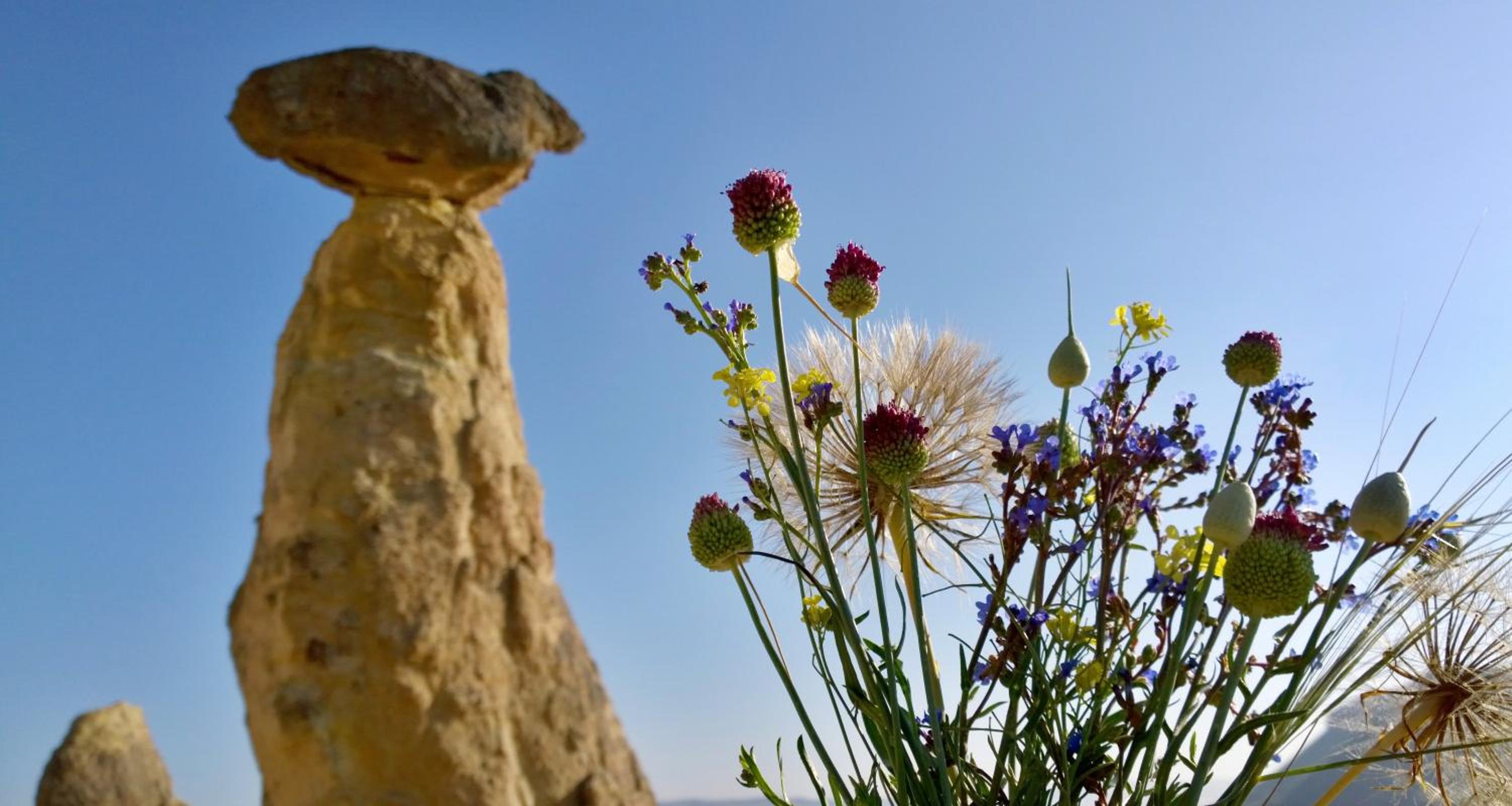 Grand Cave Suites - Image 36