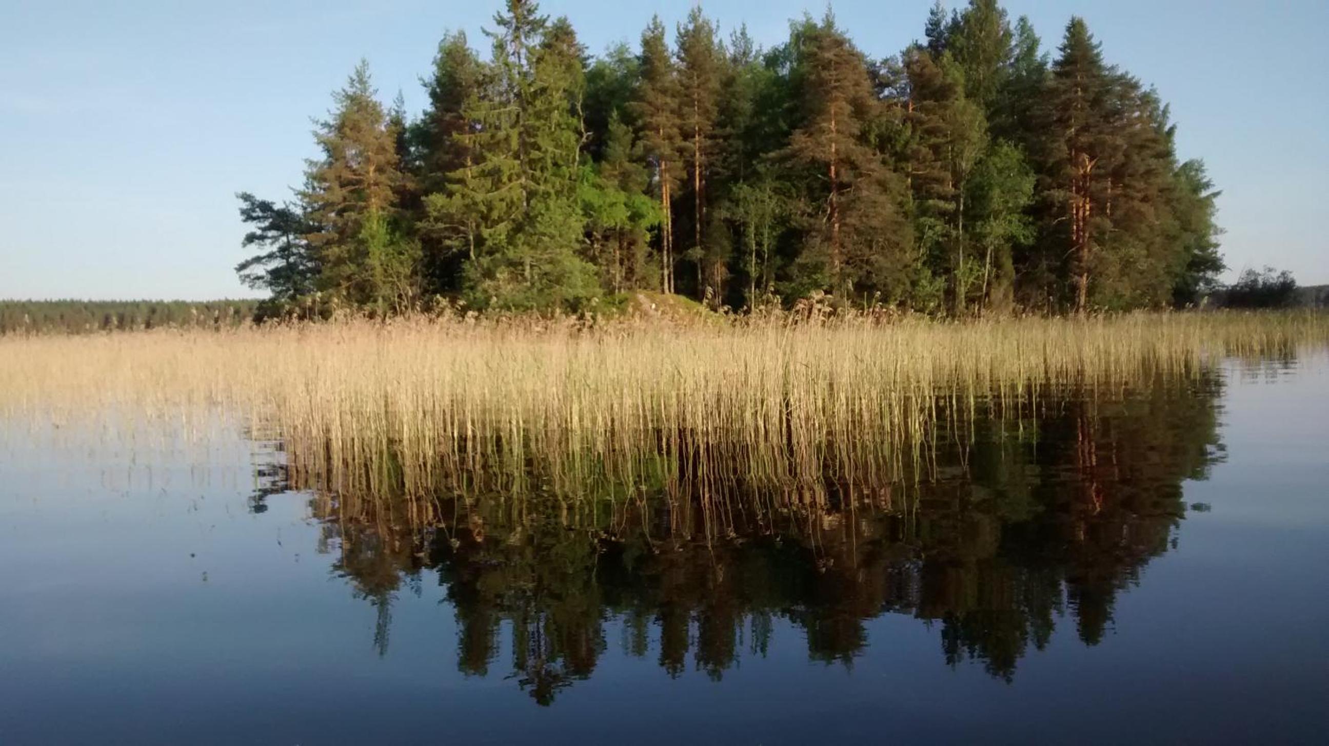 Cottage Kesäranta