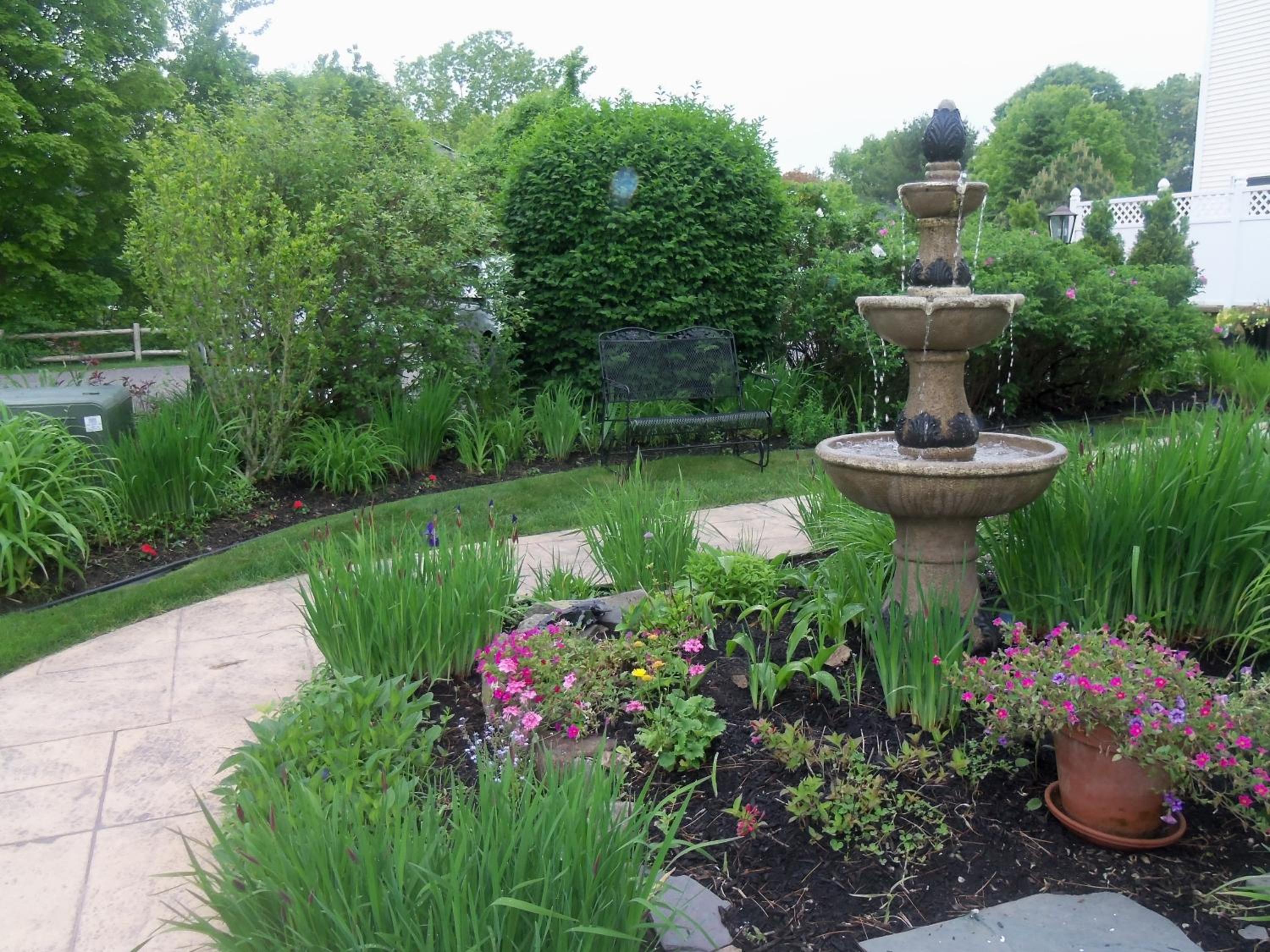 Holiday Guest House Bed & Breakfast view 5