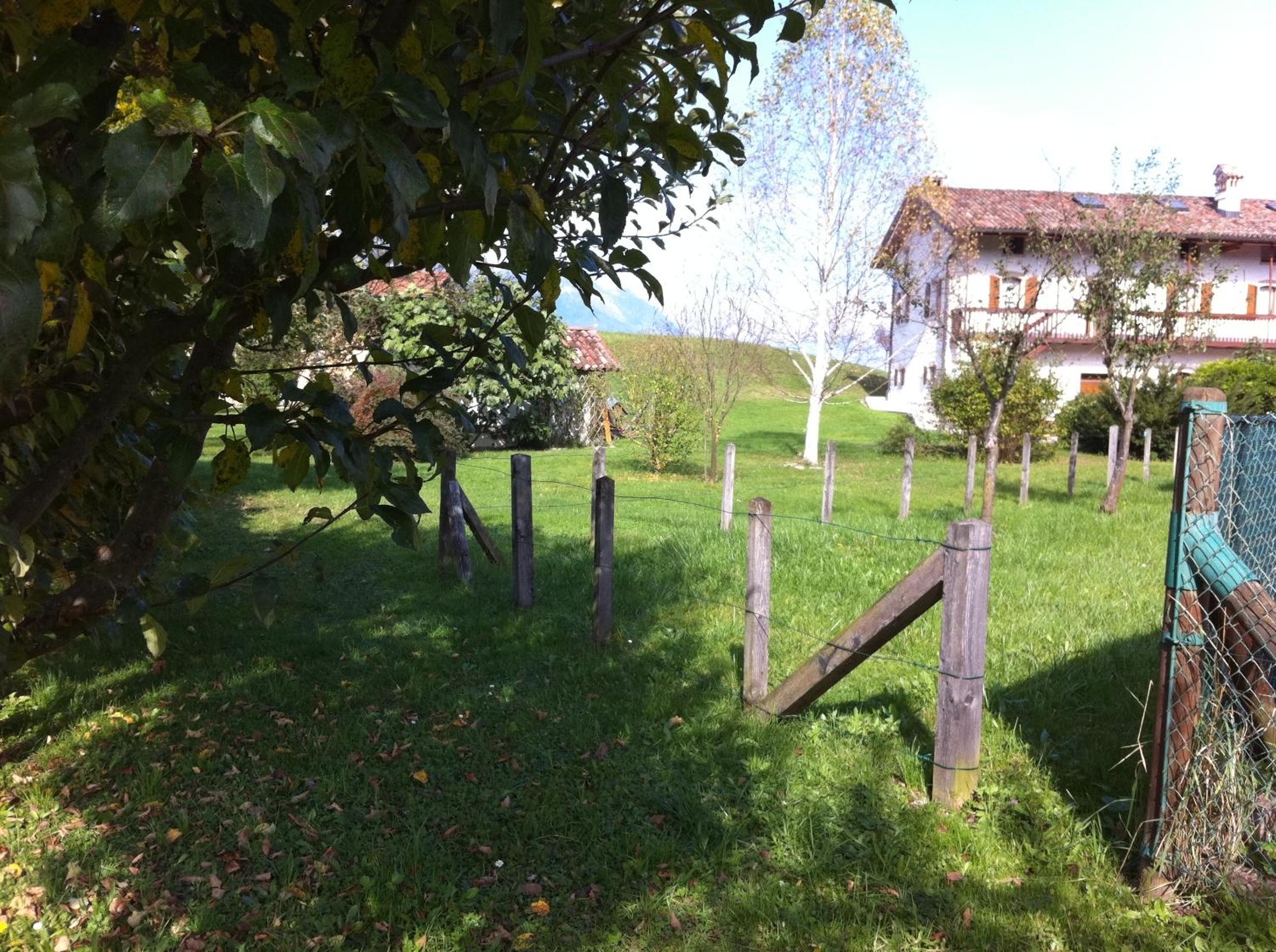 Photo 21
