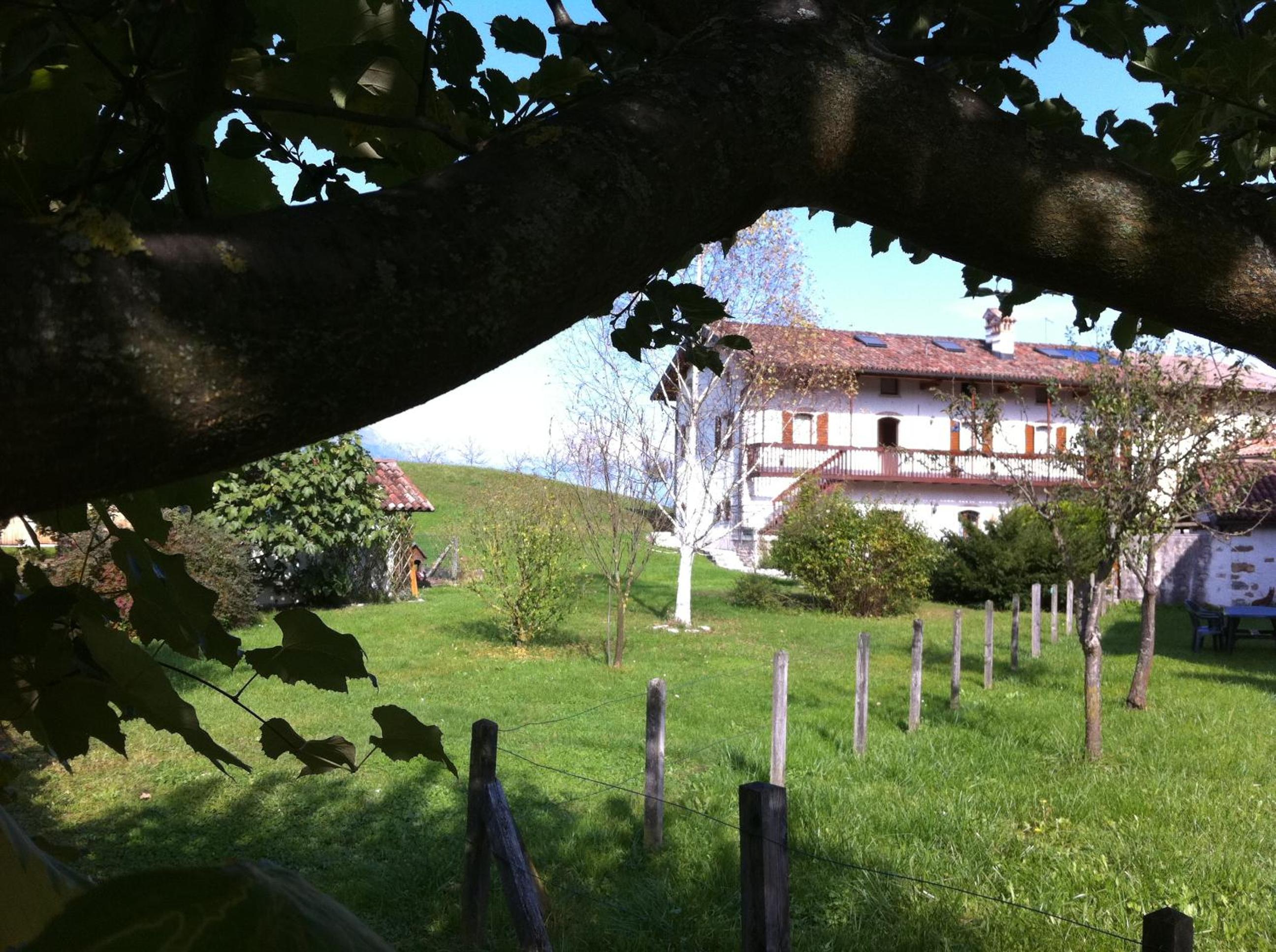 Photo 20