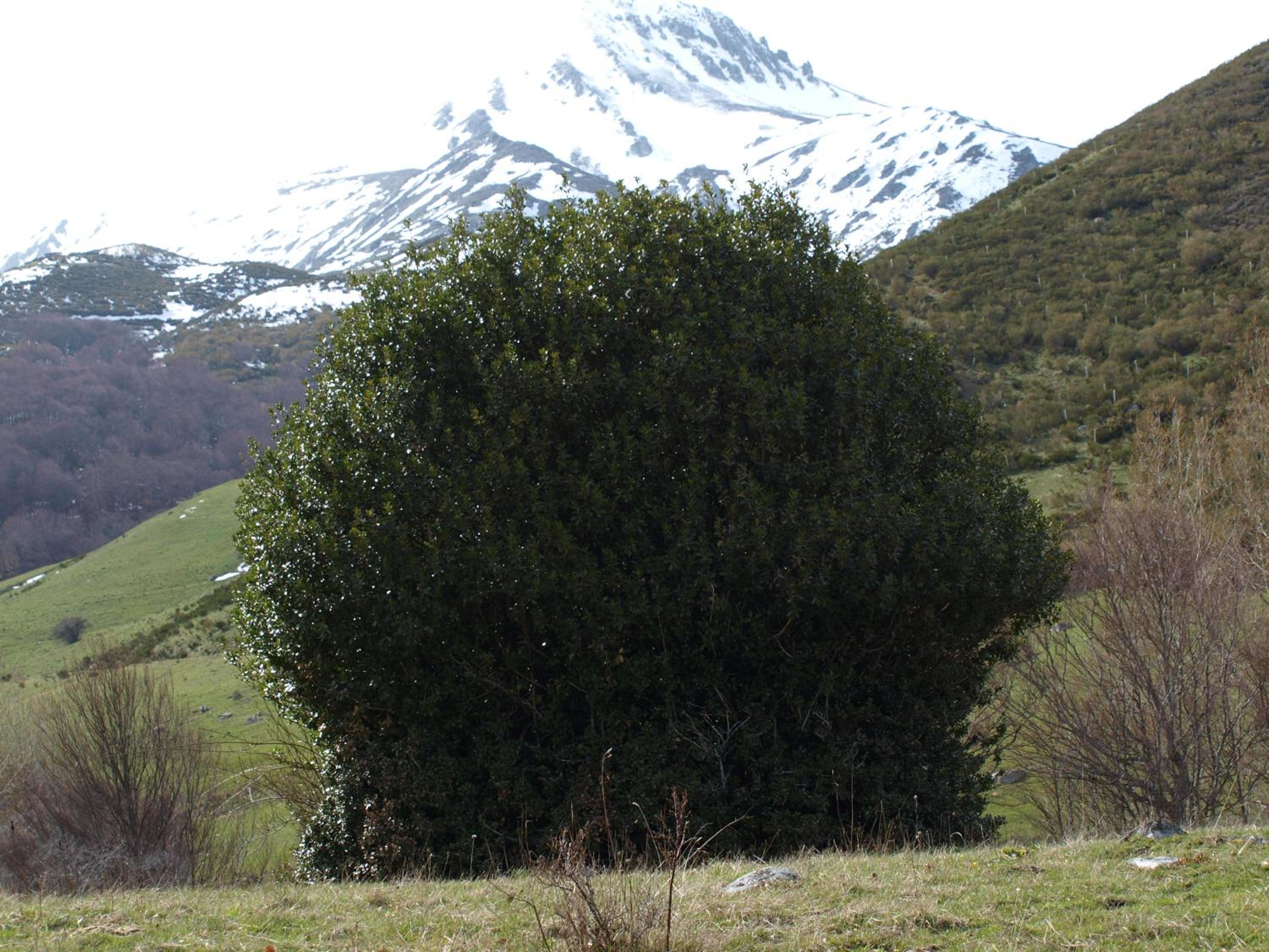 Photo 24