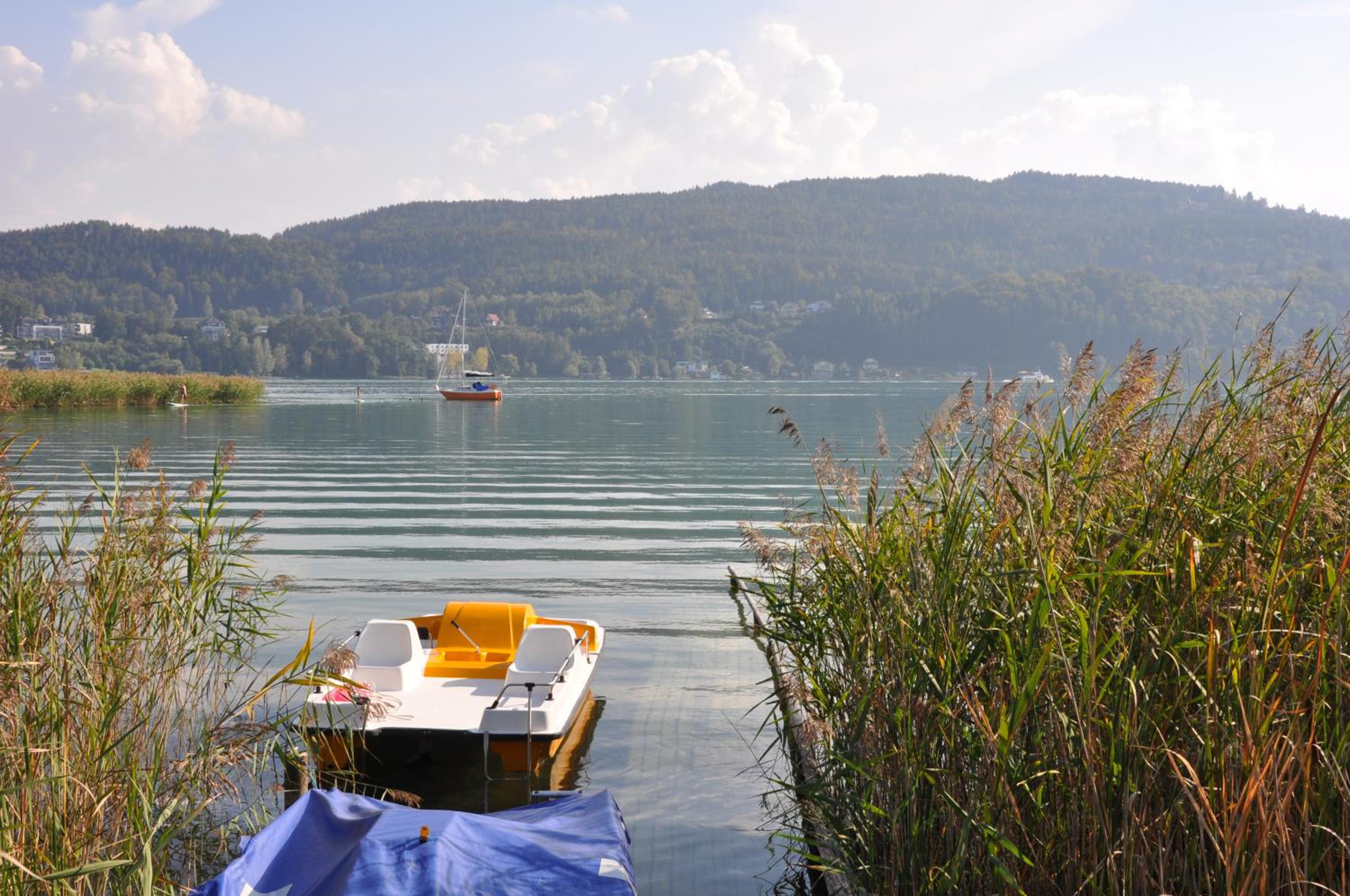 Seebungalows Wedenig direkt am See