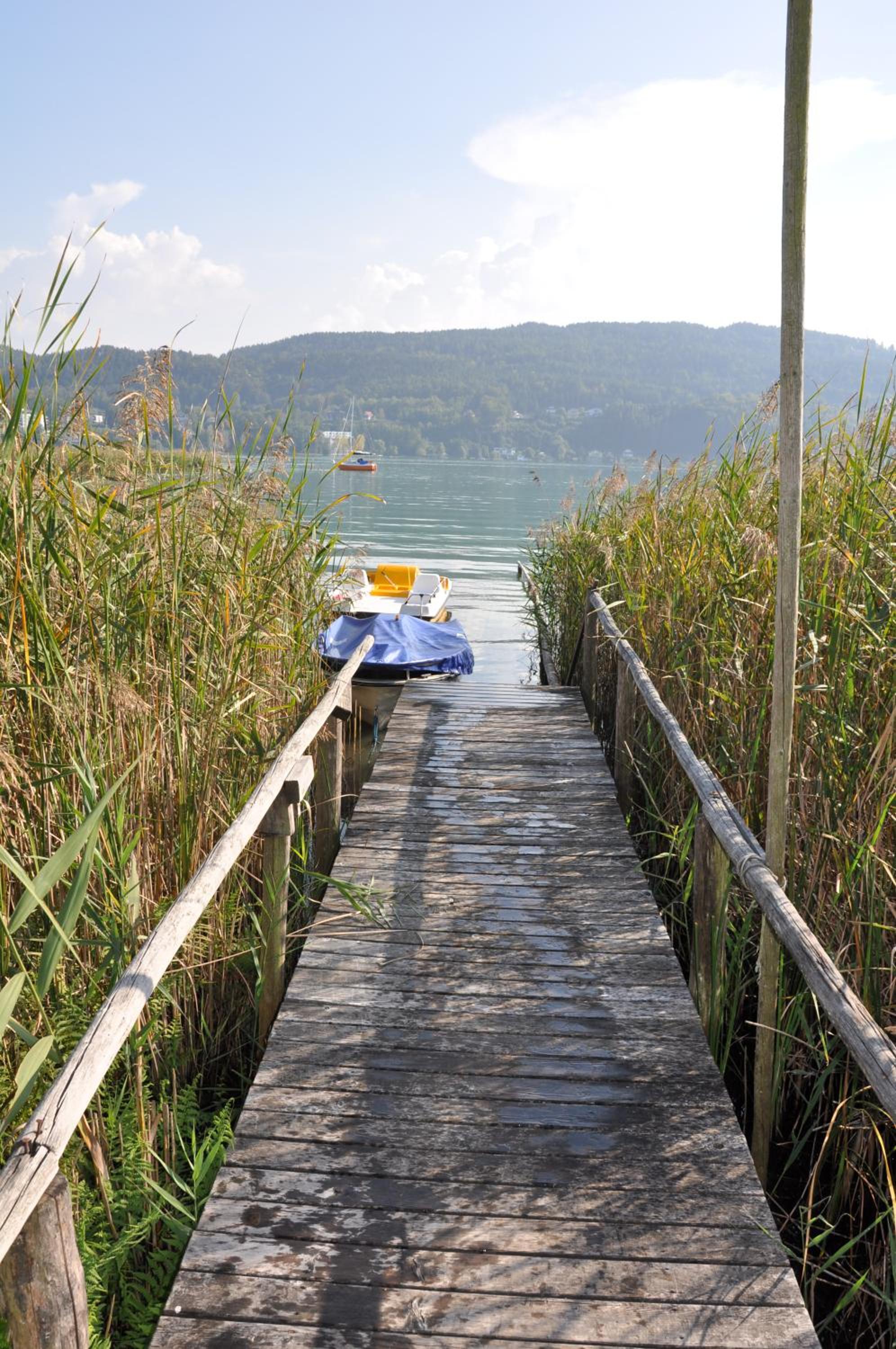 Seebungalows Wedenig direkt am See
