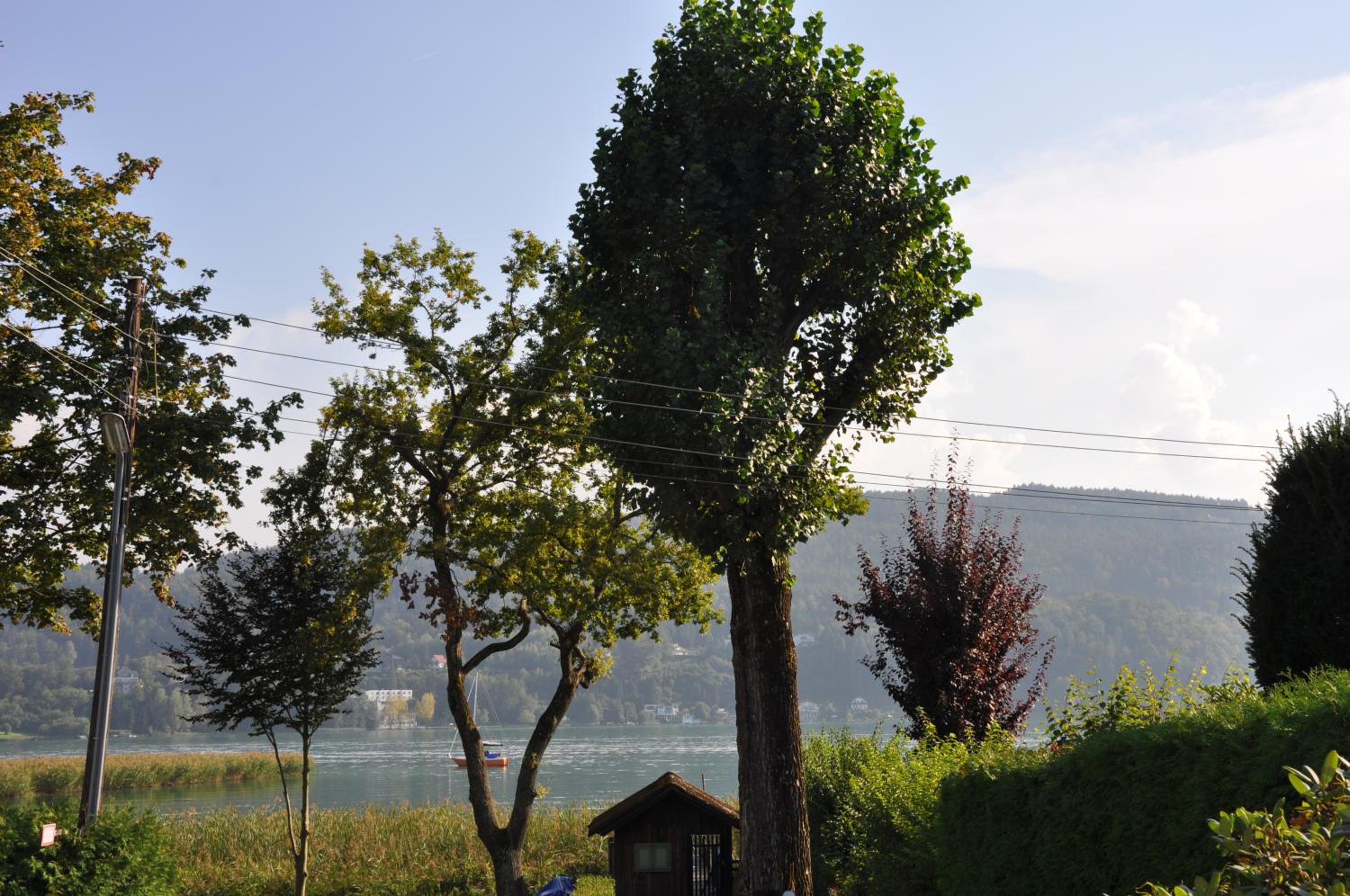 Seebungalows Wedenig direkt am See