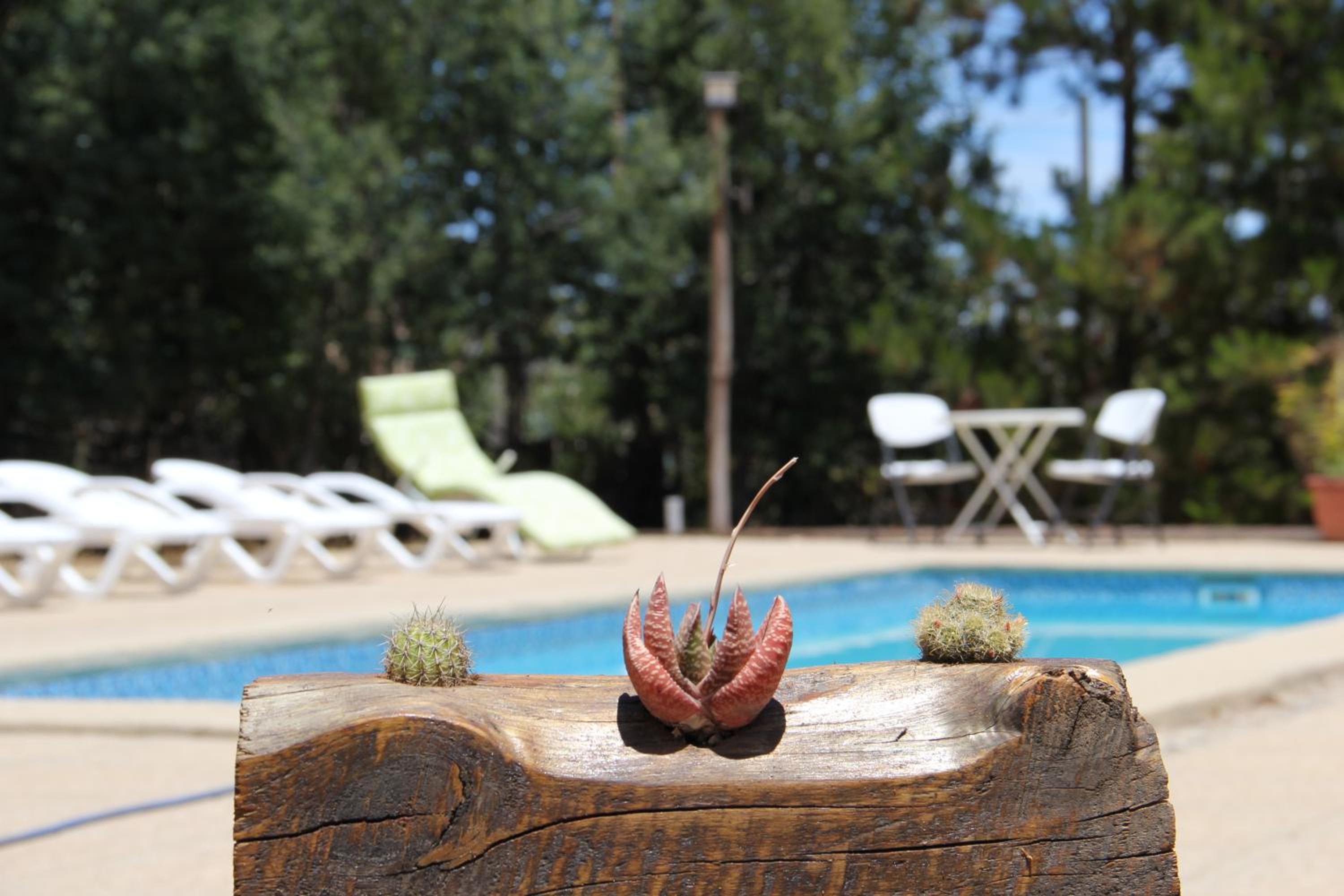 Bosques de San José Lodge