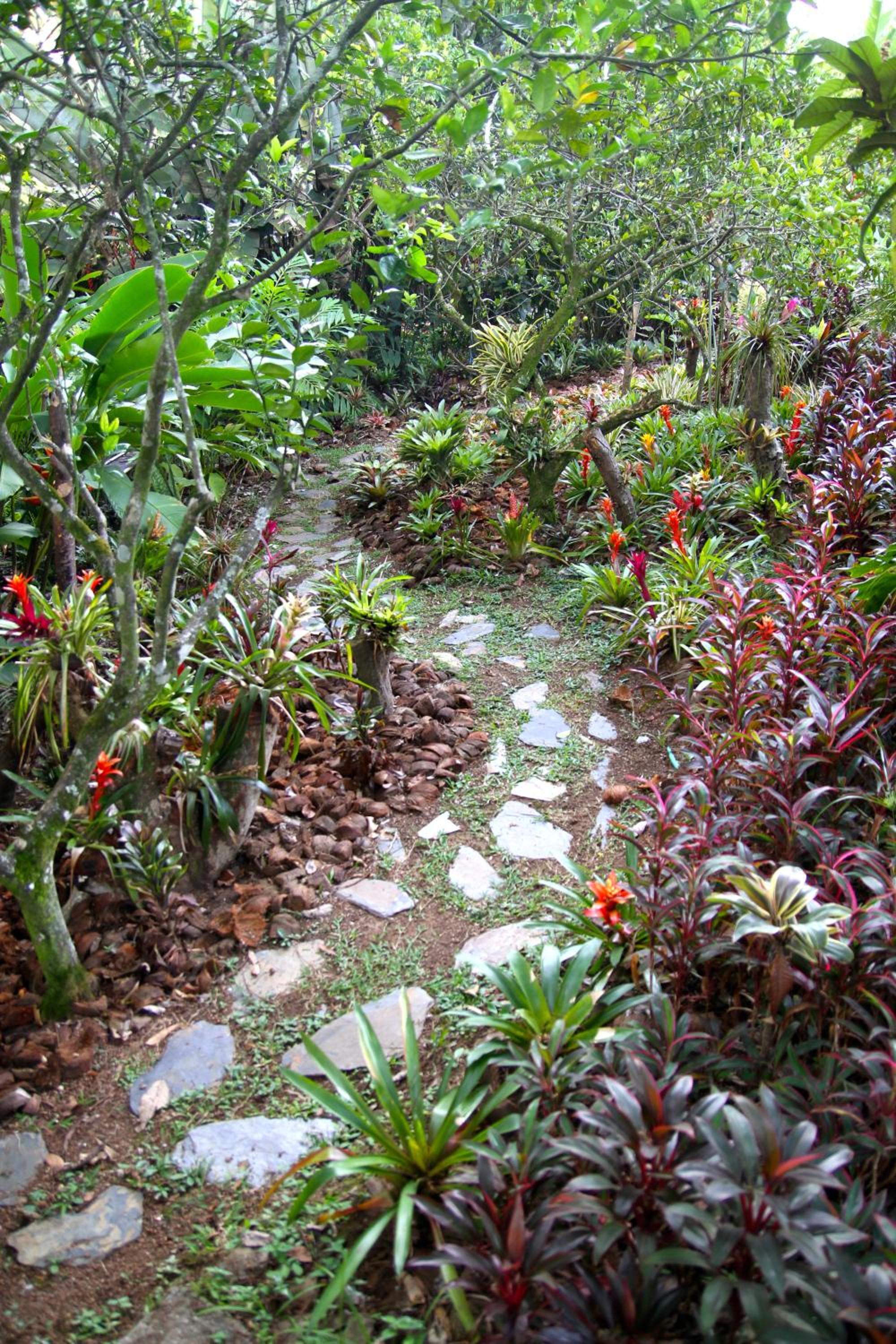 El Jardín de los Colibríes - Pereira, Risaralda