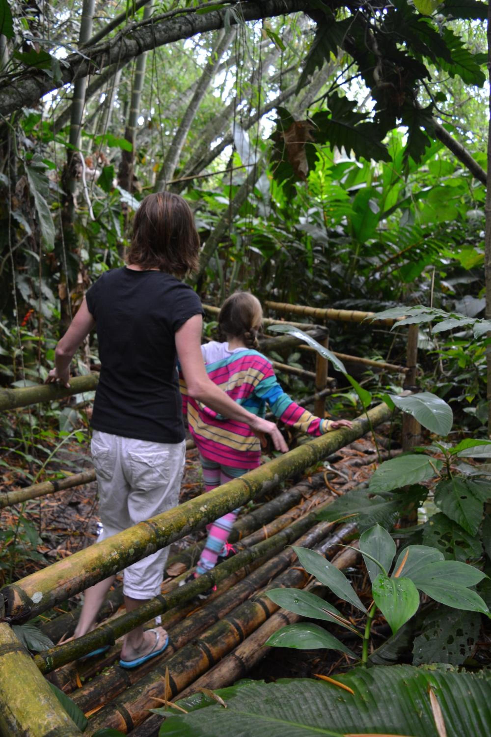 El Jardín de los Colibríes - Pereira, Risaralda