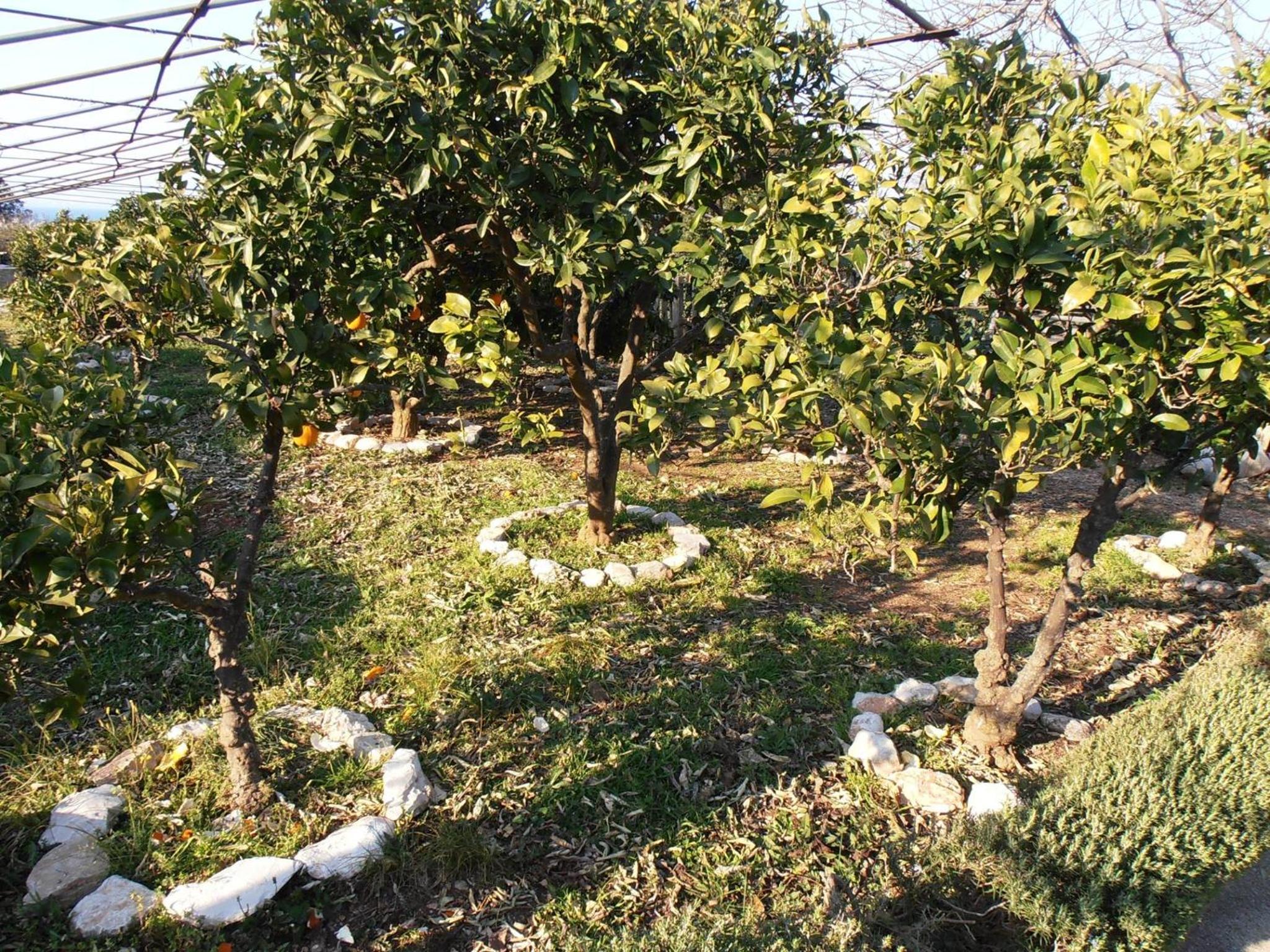 Photo 32