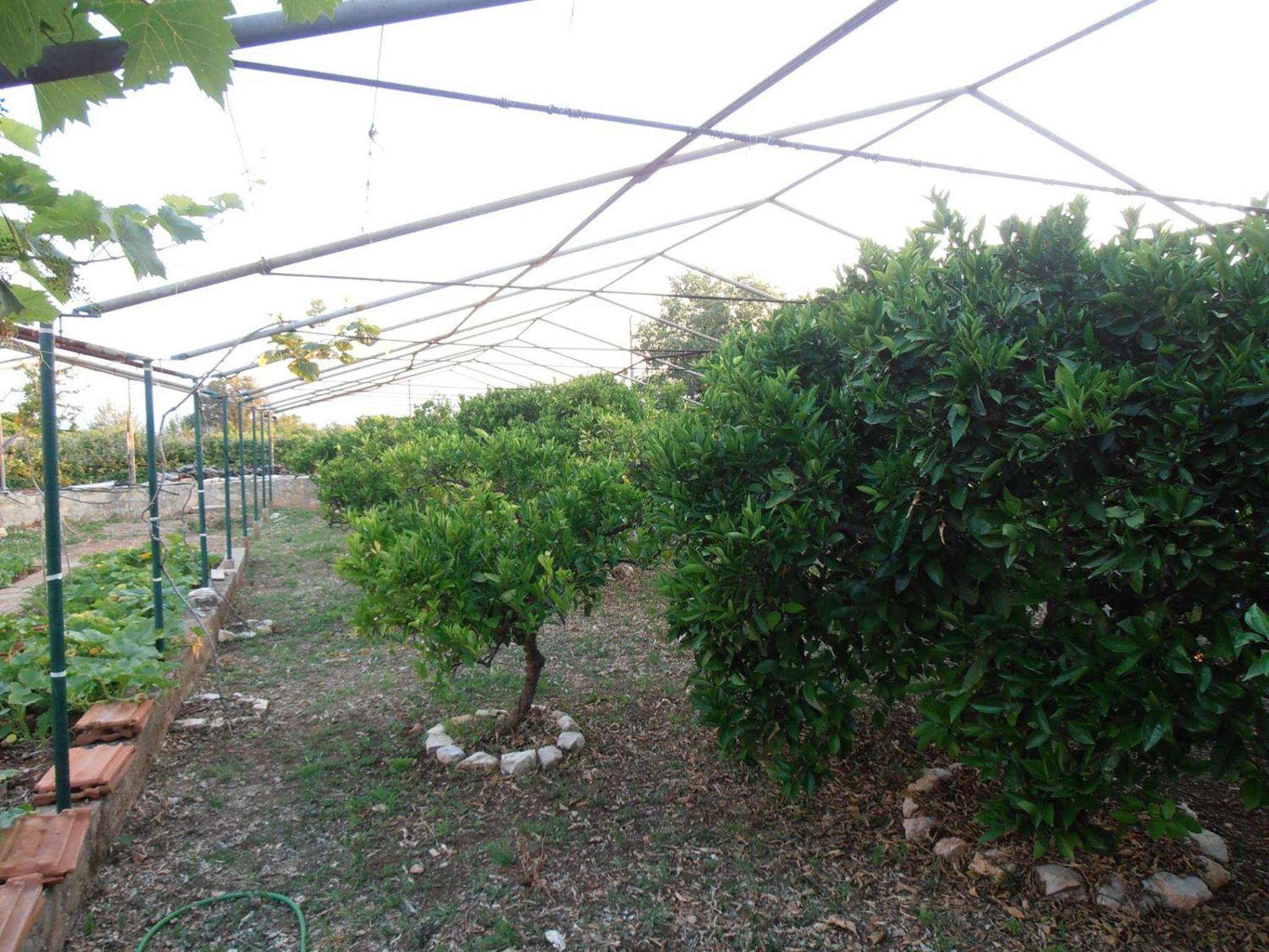 Photo 37