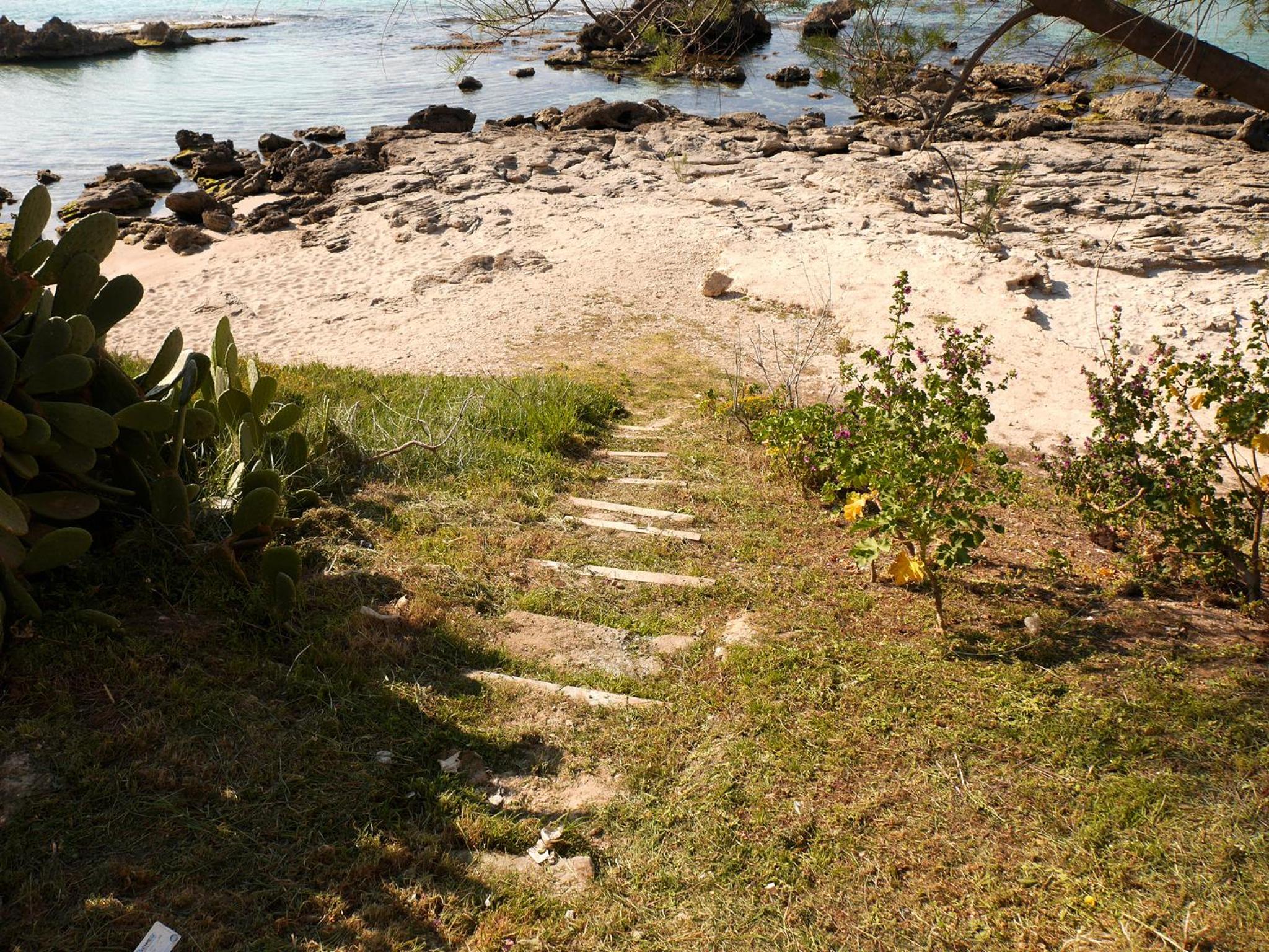 Photo 28