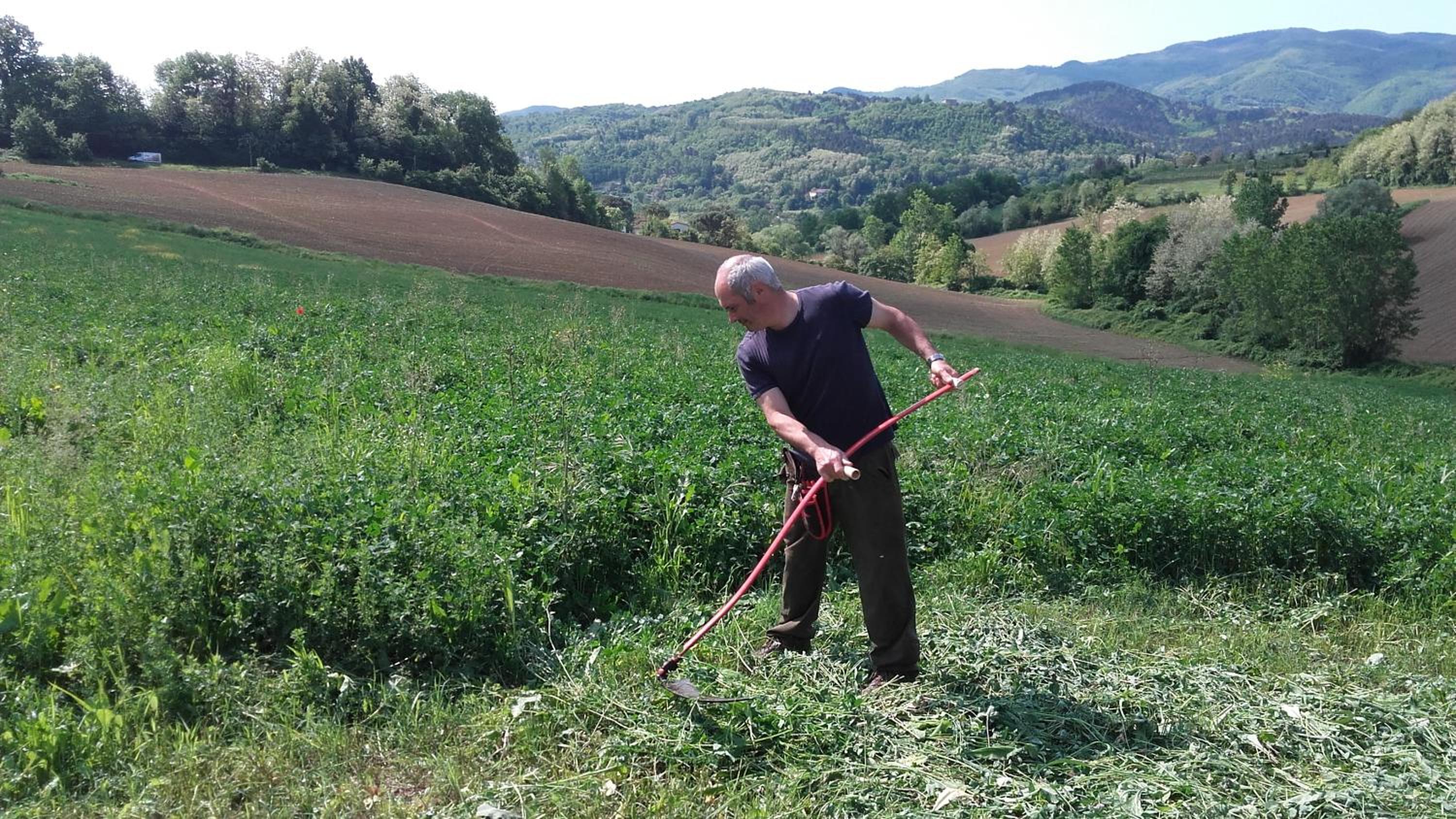 Agriturismo Stazione di Monta