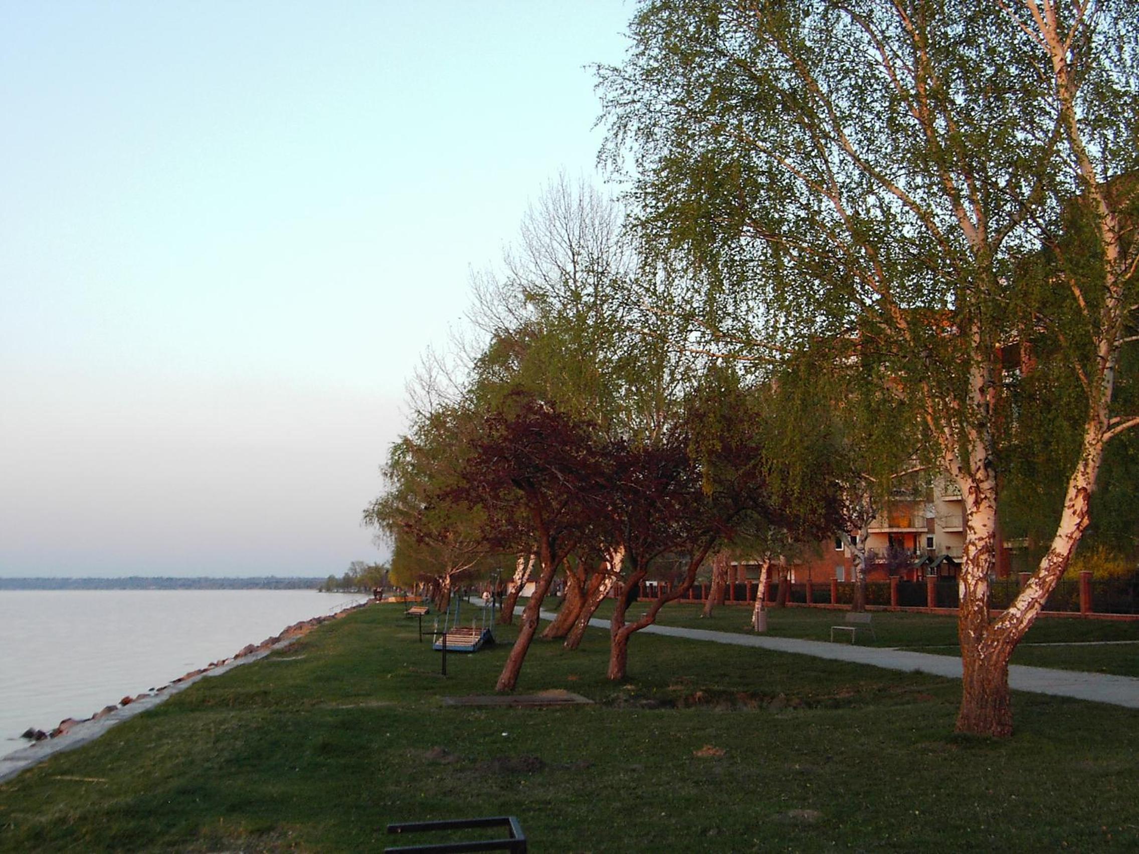 Photo 47