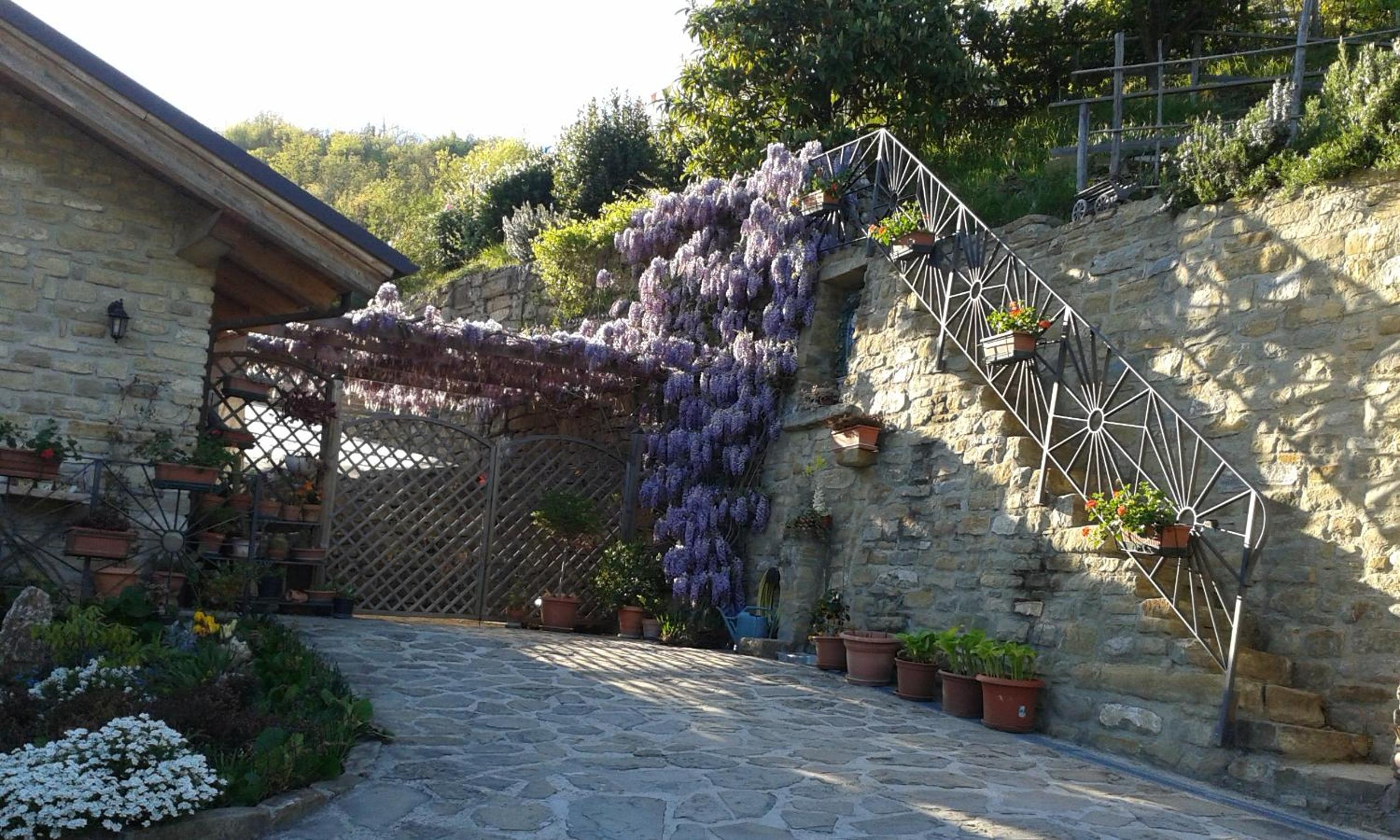 Photo 12