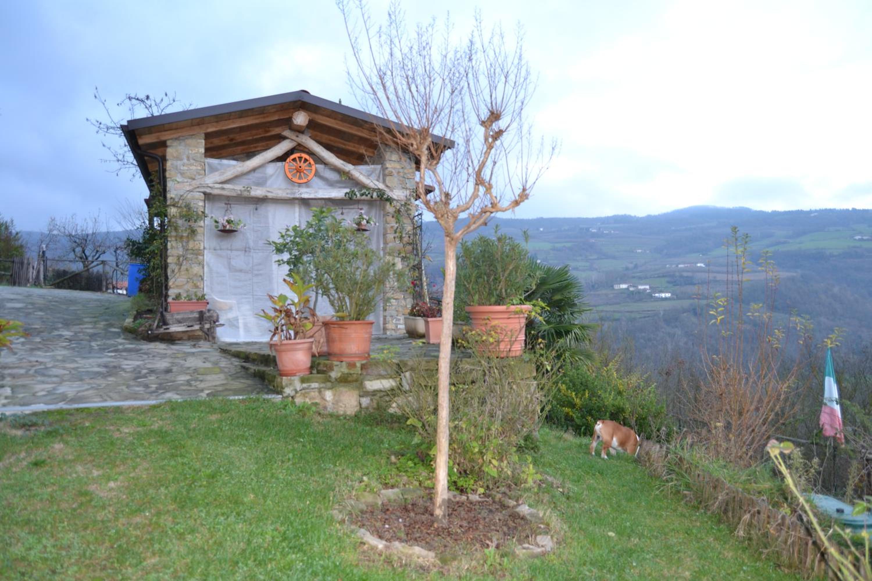 Photo 11