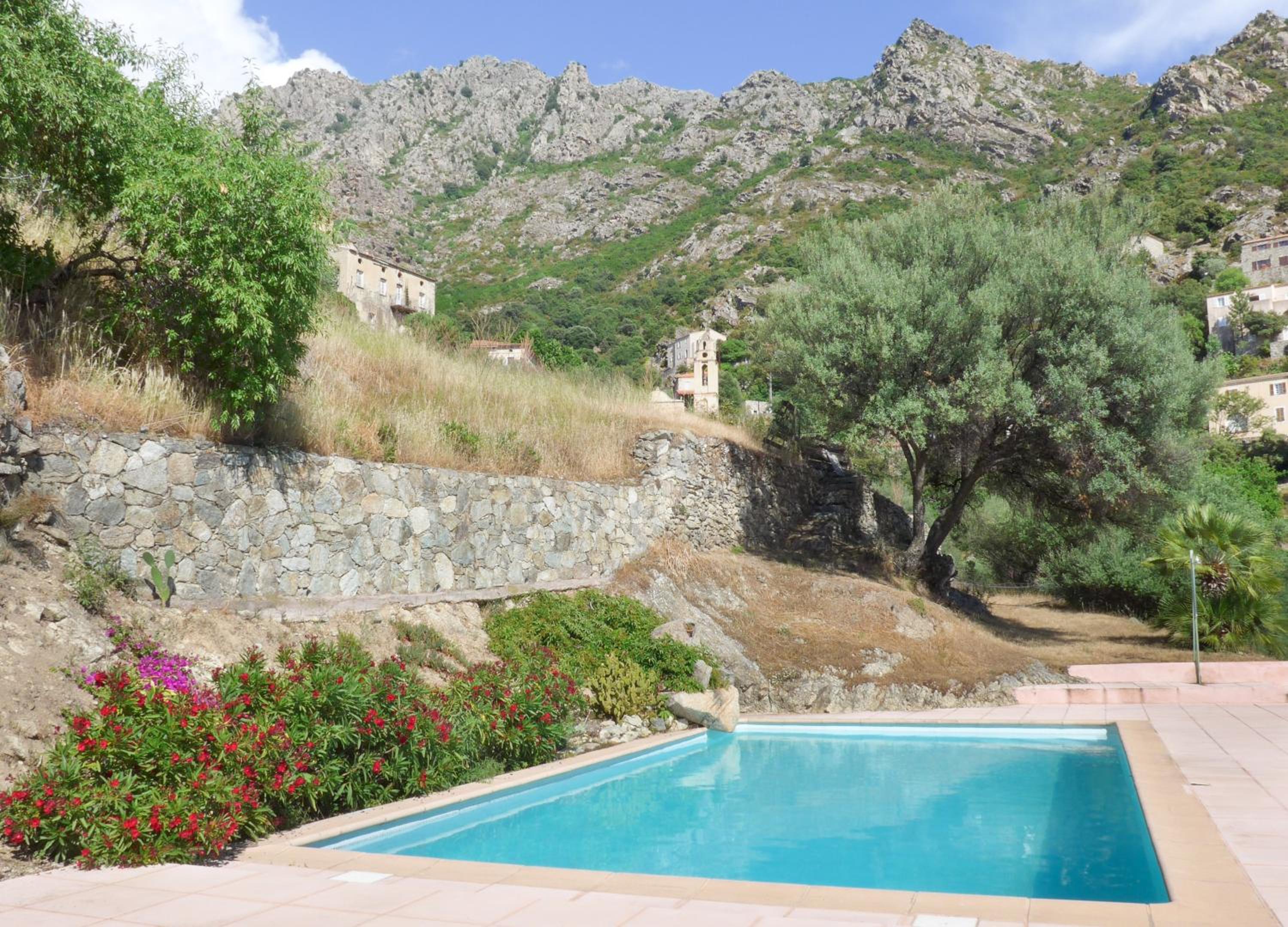 petit paradis pres ile rousse gîte les cortalines Lama view 3