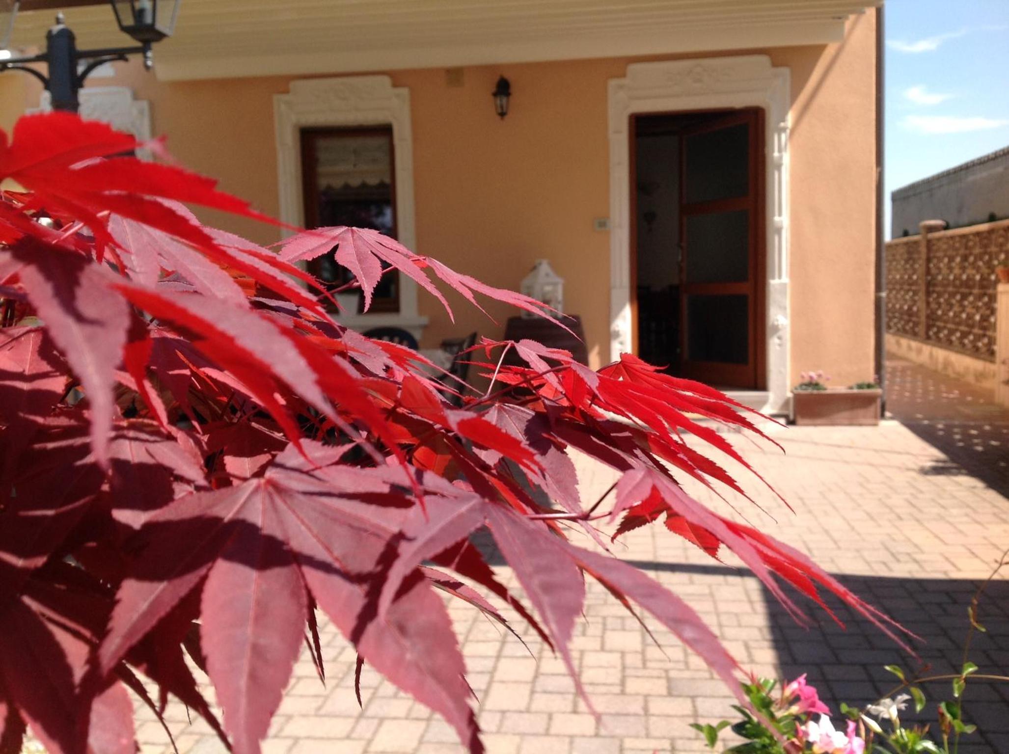 B&B Acero Rosso view 5