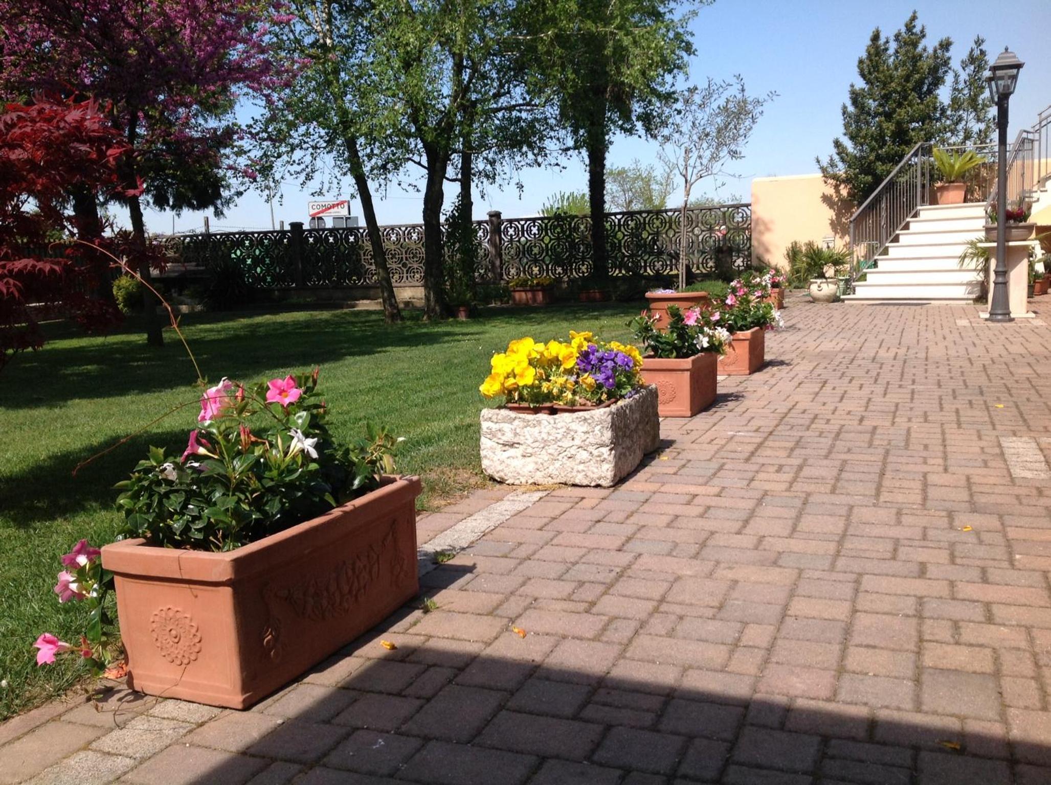 Photo 7