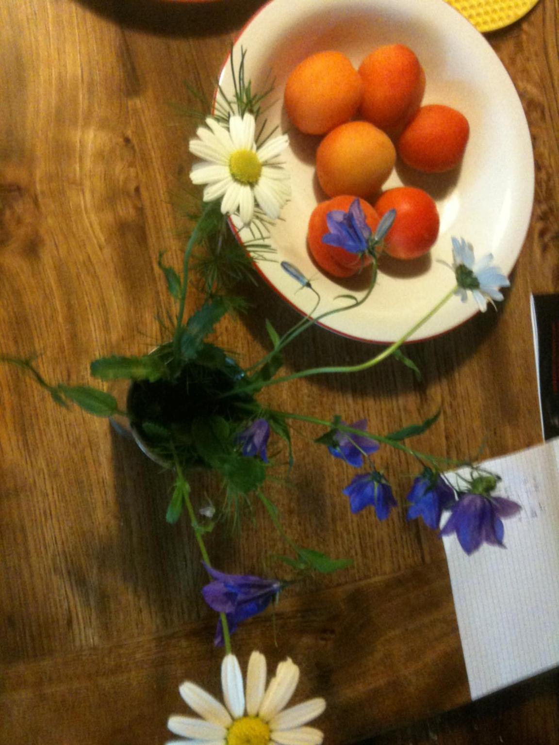 Photo 44