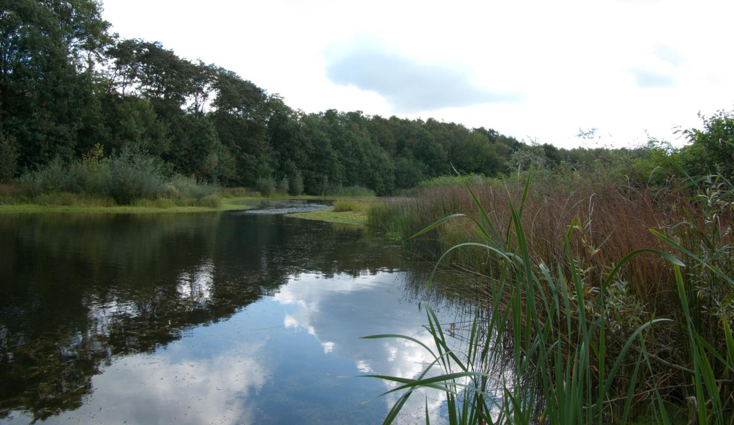 B&B Ginnekenshoeve