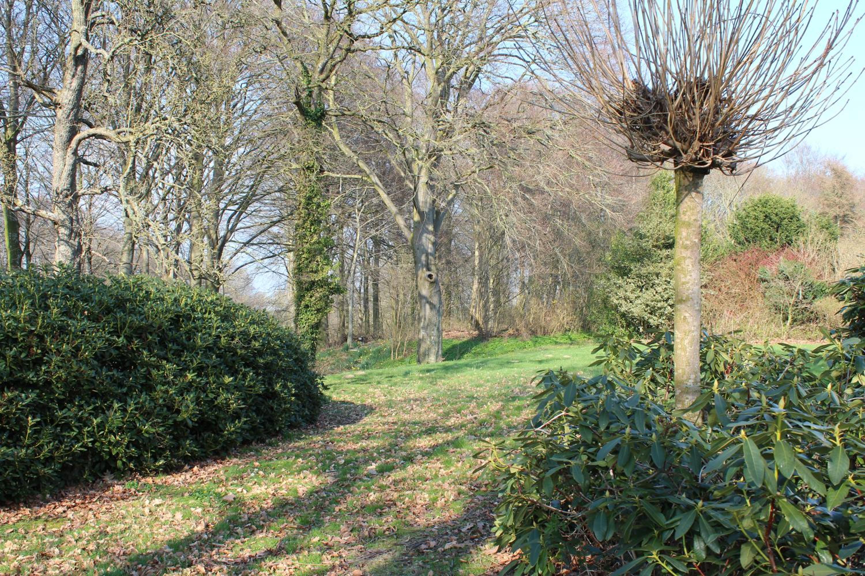 Louiselund Bed & Breakfast