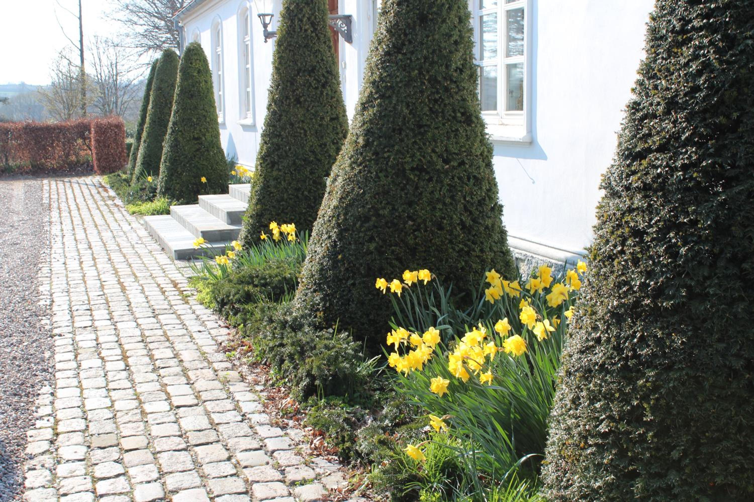 Louiselund Bed & Breakfast