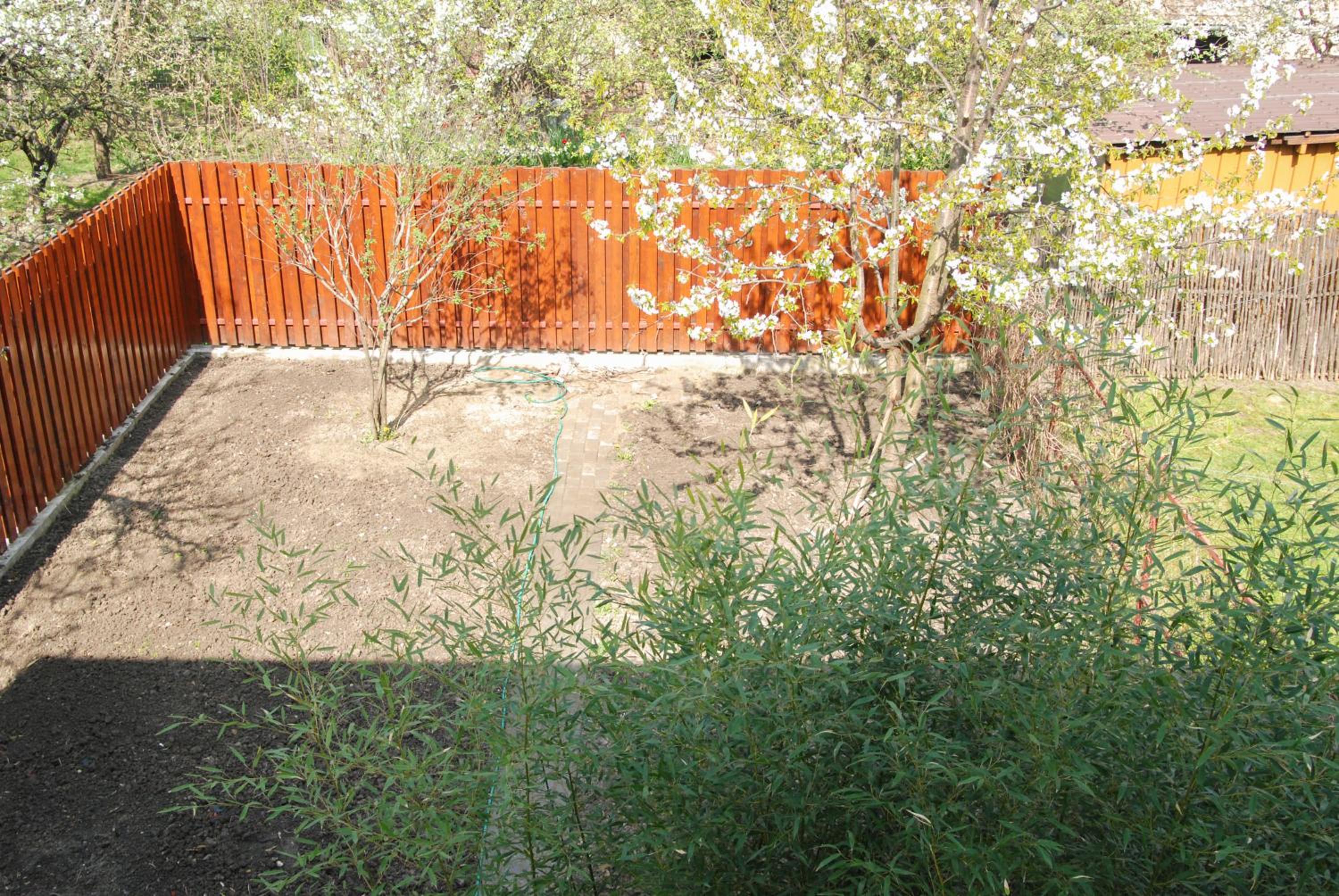 Photo 52
