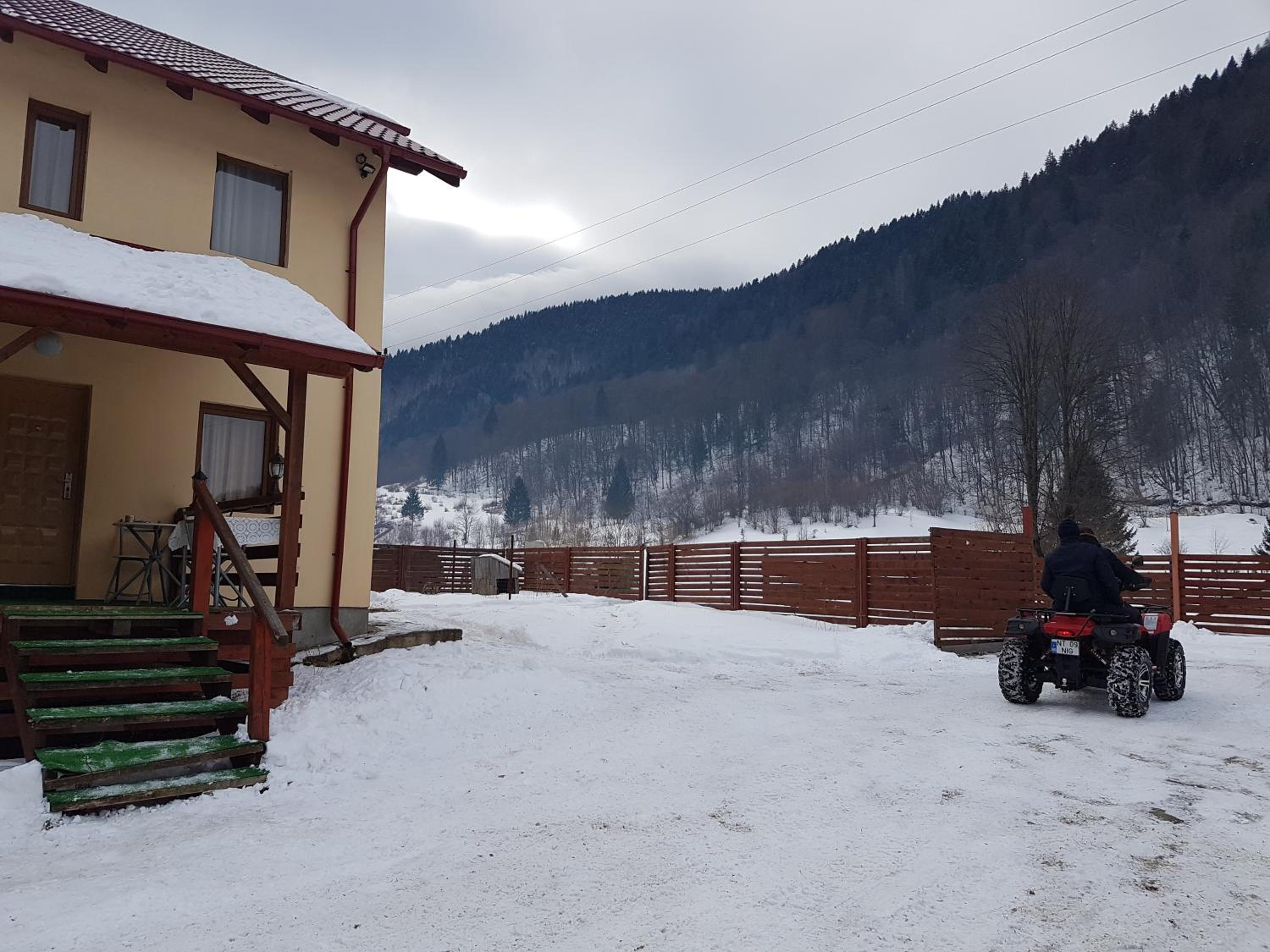 Photo 41