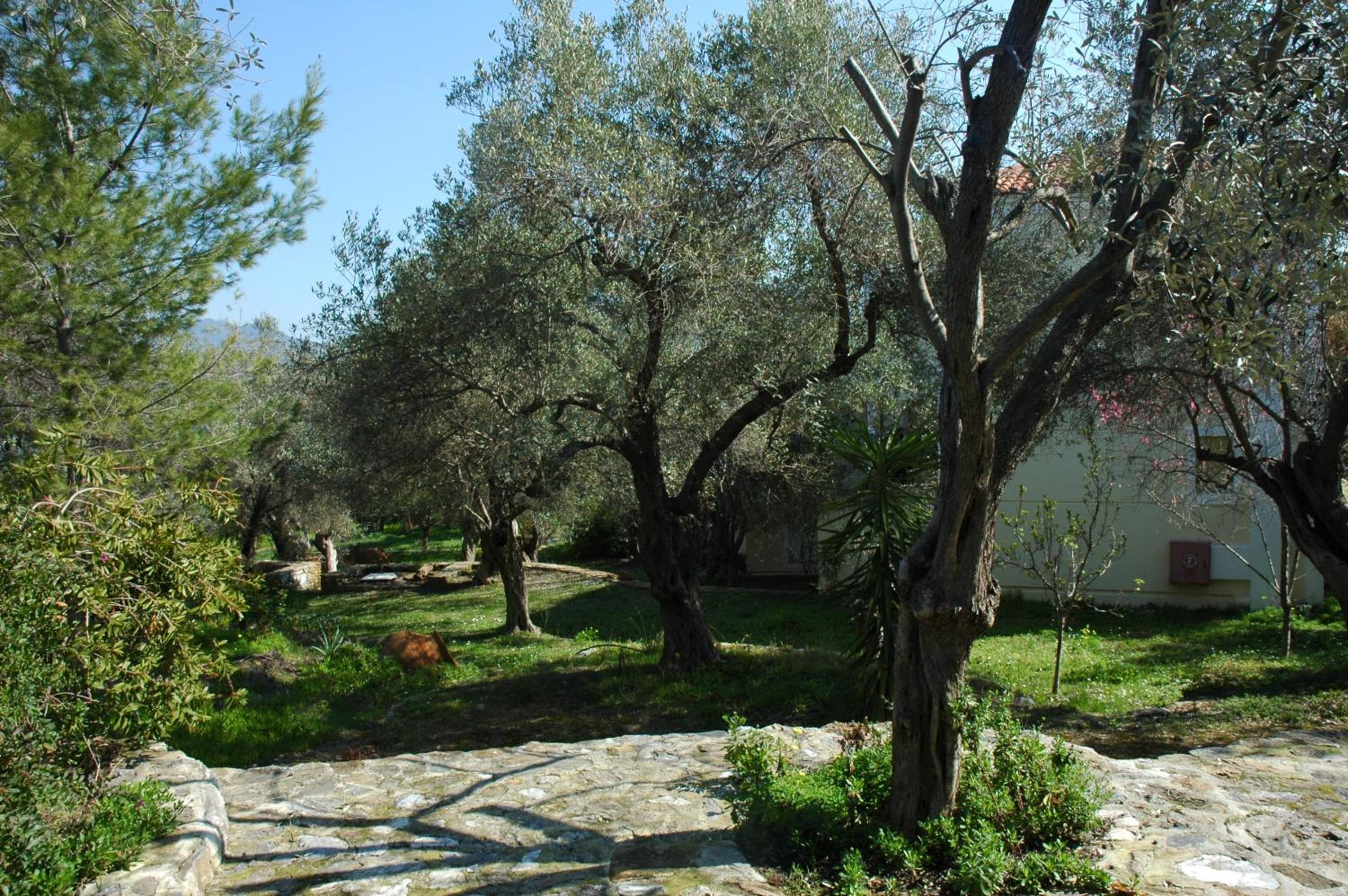 Photo 34