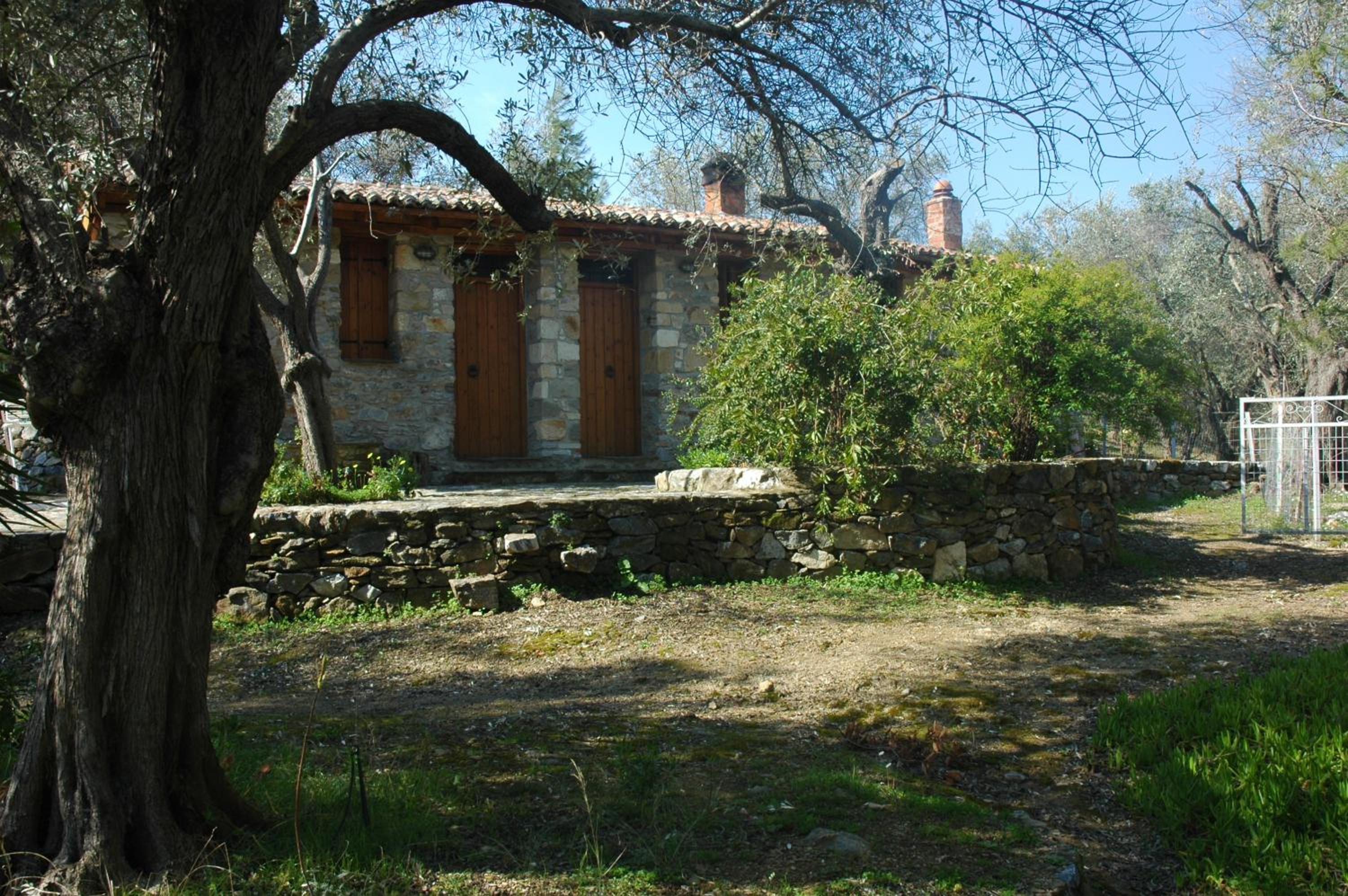 Photo 37